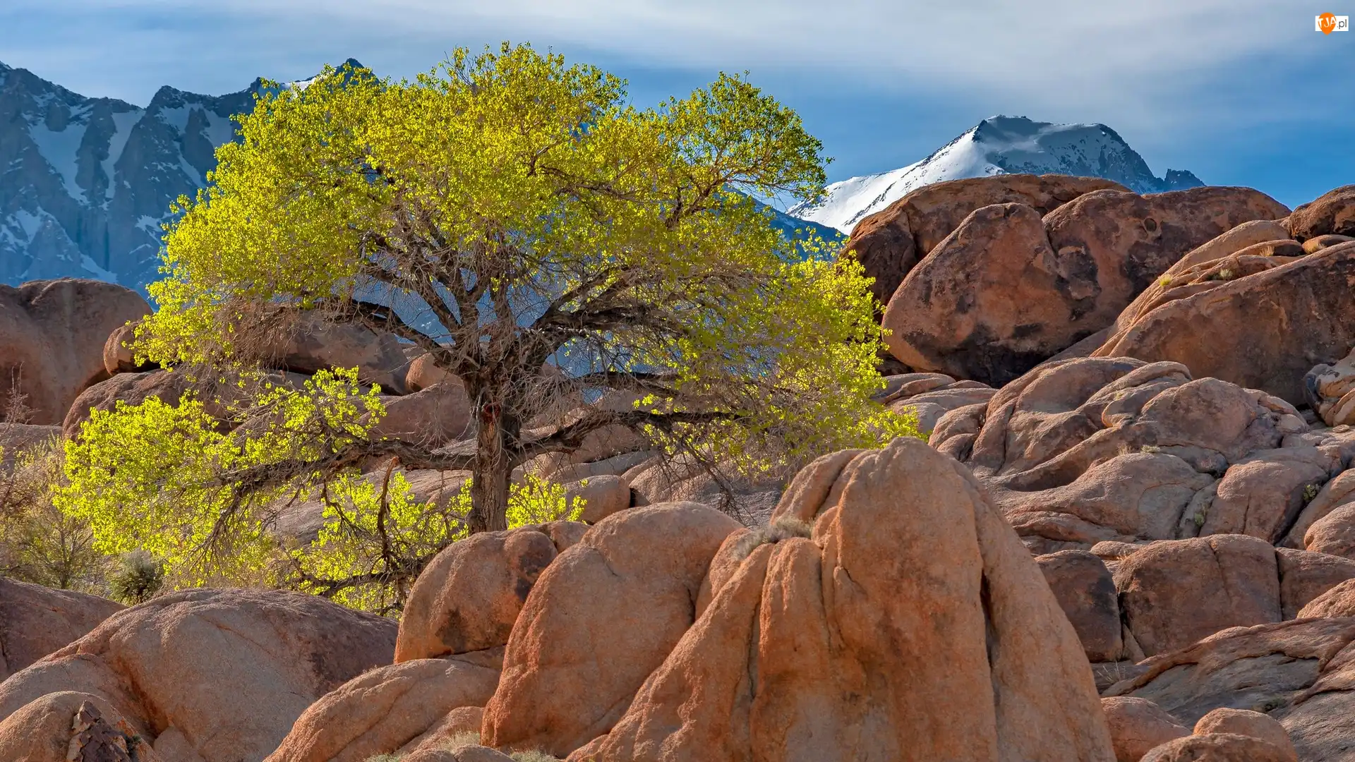Góry, Skały, Alabama Hills, Stany Zjednoczone, Słońce, Kalifornia