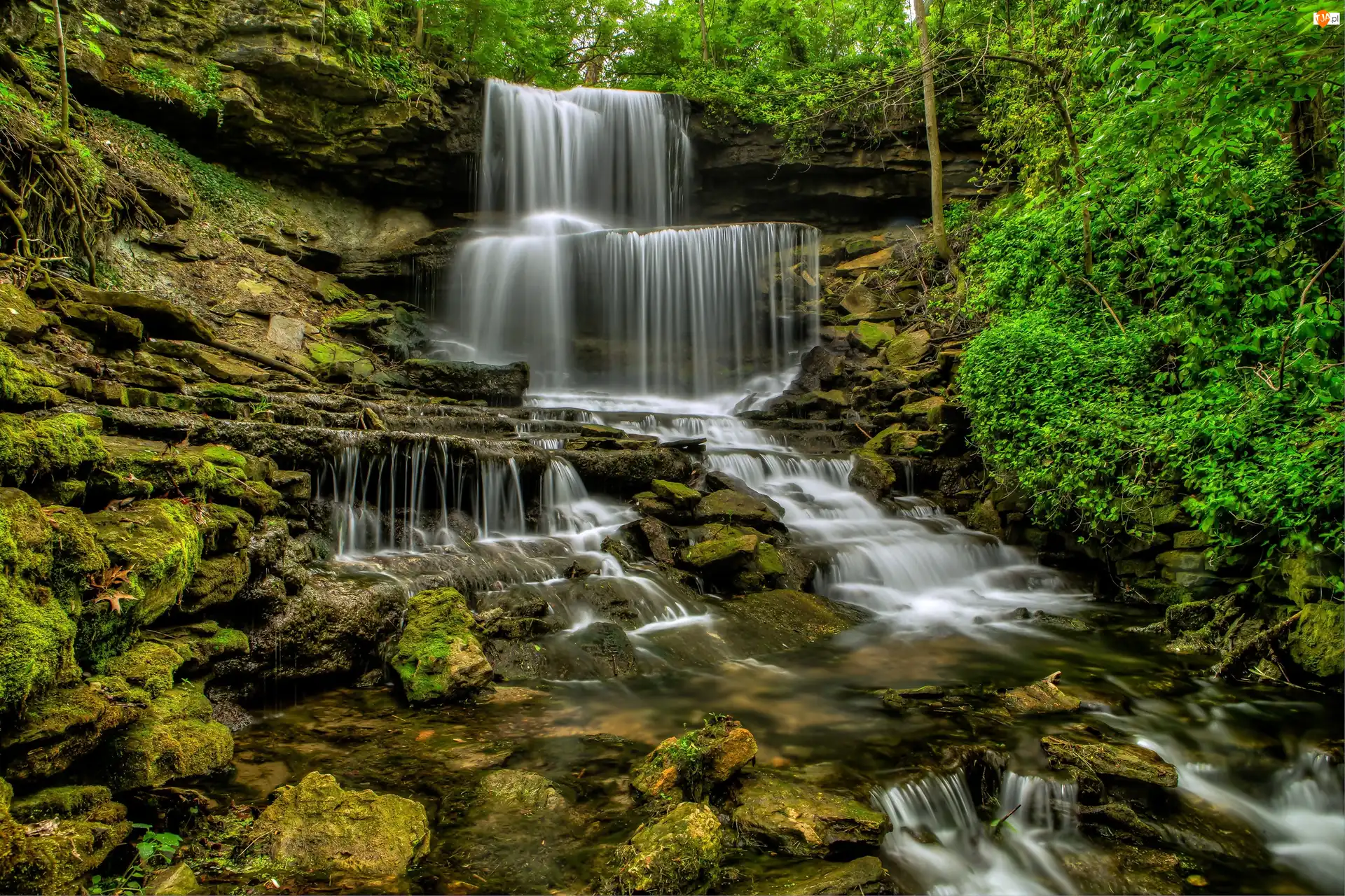 Stan Ohio, Stany Zjednoczone, Kaskada, Drzewa, Wodospad West Milton Cascades, Skały