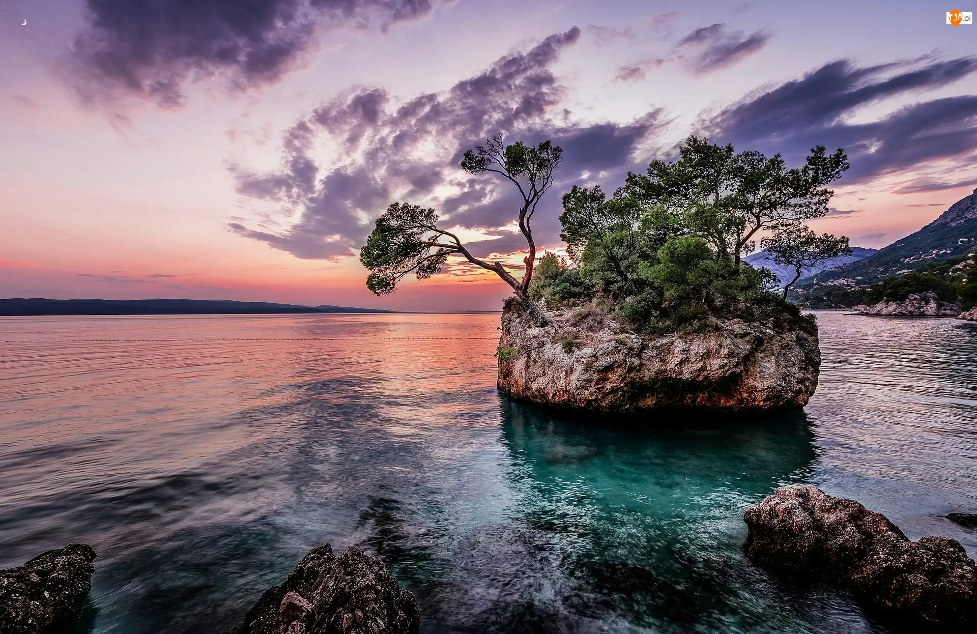 Plaża, Punta Rata, Chorwacja, Morze, Drzewa, Kamen Brela, Skała