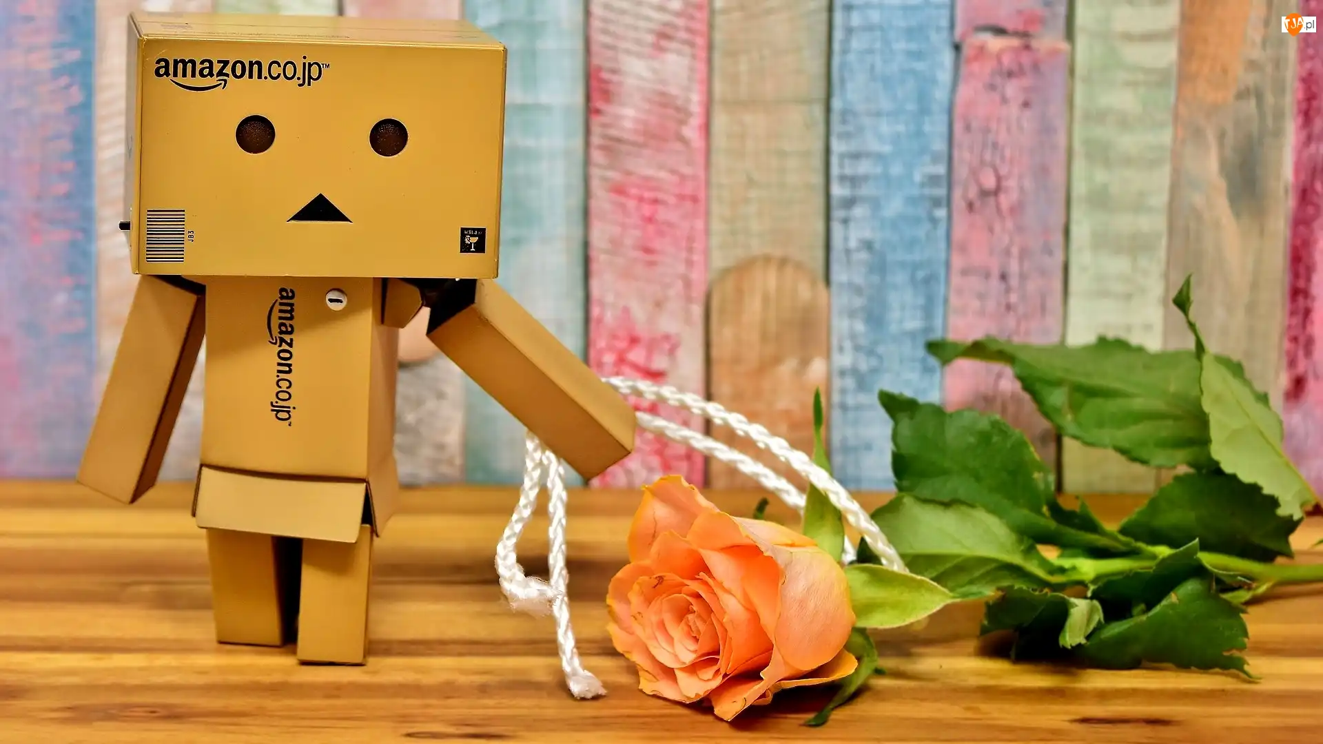 Danbo, Róża, Ludzik, Kartonowy, Sznurek