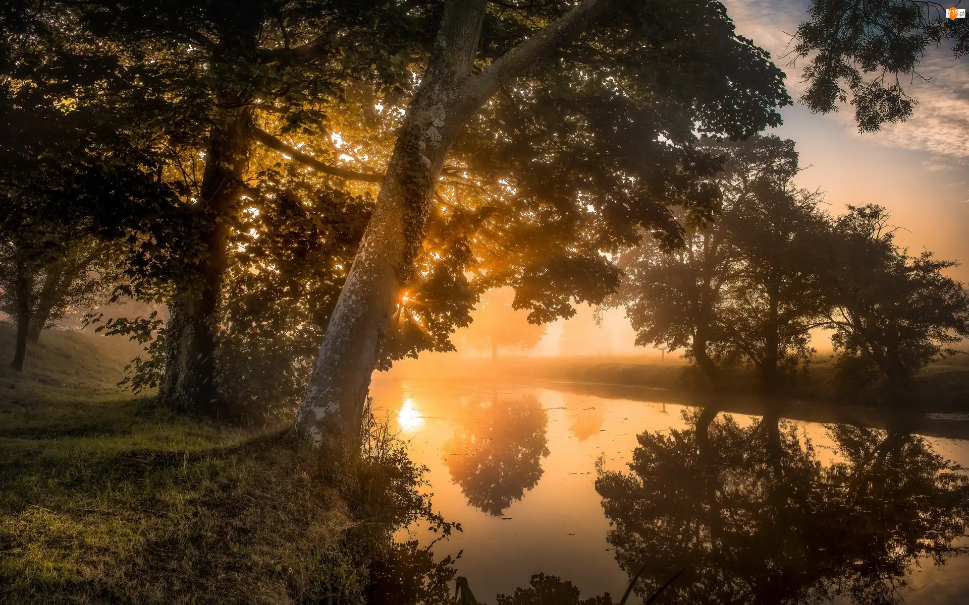 Drzewa, Anglia, Rzeka, Poranek, Hrabstwo Northamptonshire, Mgła, Wschód słońca, Lyveden New Bield