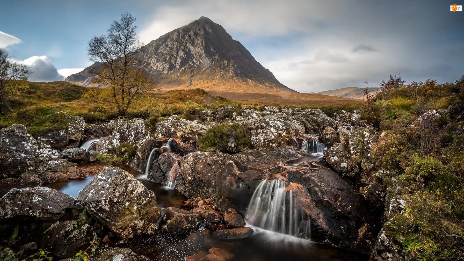 Drzewa, Góra, Rzeka, Region Highland, Buachaille Etive Mor, River Coupall, Szkocja, Skały