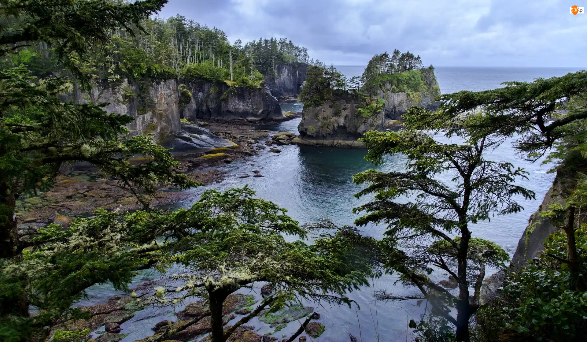 Morze, Stany Zjednoczone, Przylądek Cape Flattery, Brzeg, Stan Waszyngton, Skały, Drzewa, Półwysep Olimpijski