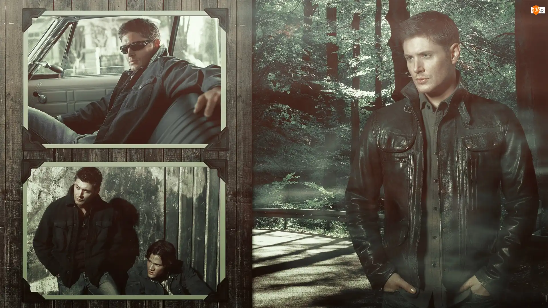 Las, Samochodu, Jared Padalecki, Jensen Ackles, Wnętrze