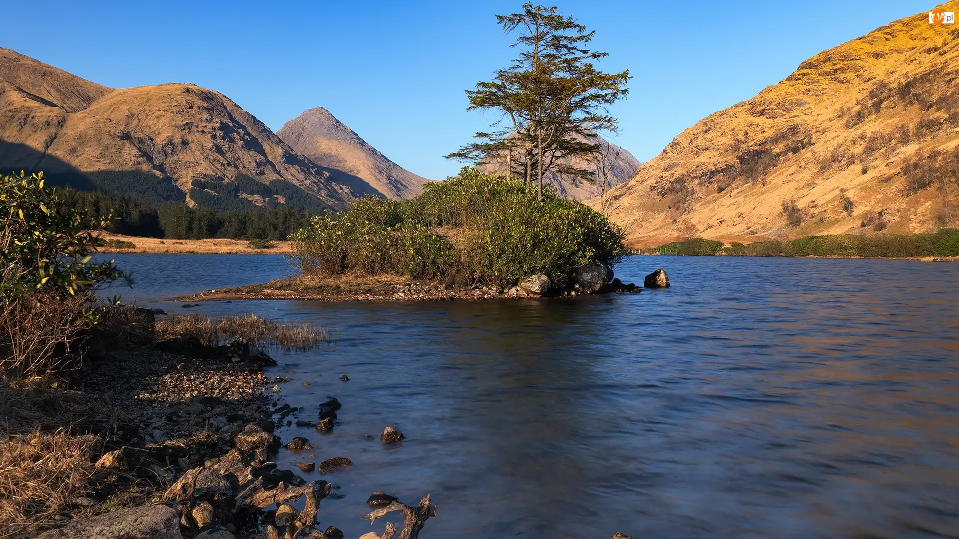 Rzeka, Góry, Wysepka, Szkocja, River Etive, Drzewa