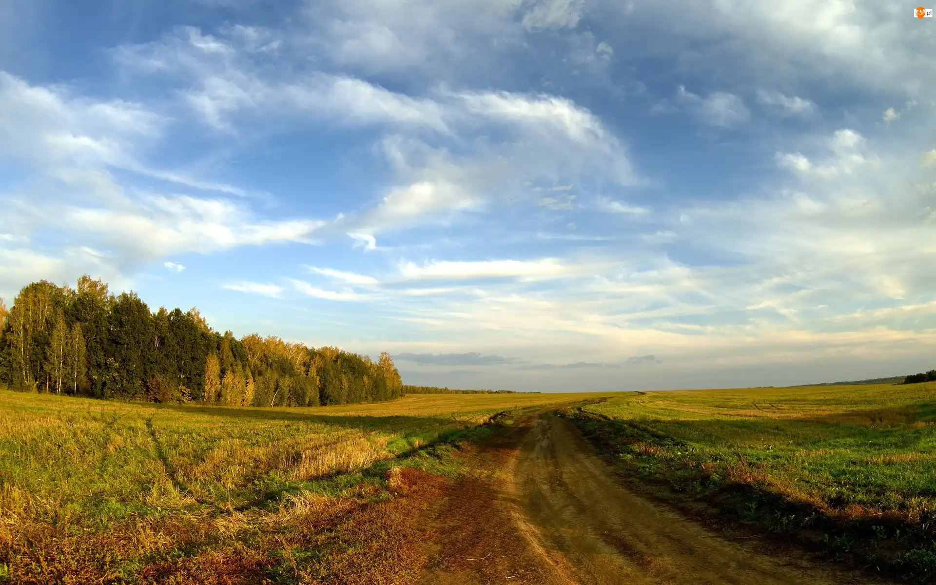 Drzewa, Niebo, Dróżka, Pole, Trawa