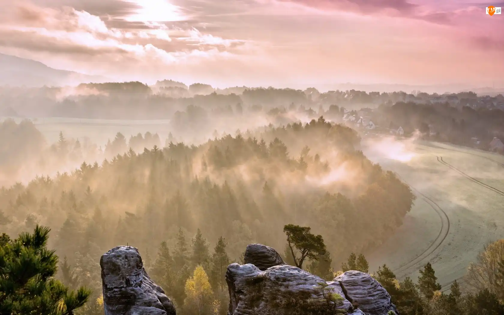 Mgła, Skały, Drzewa, Las