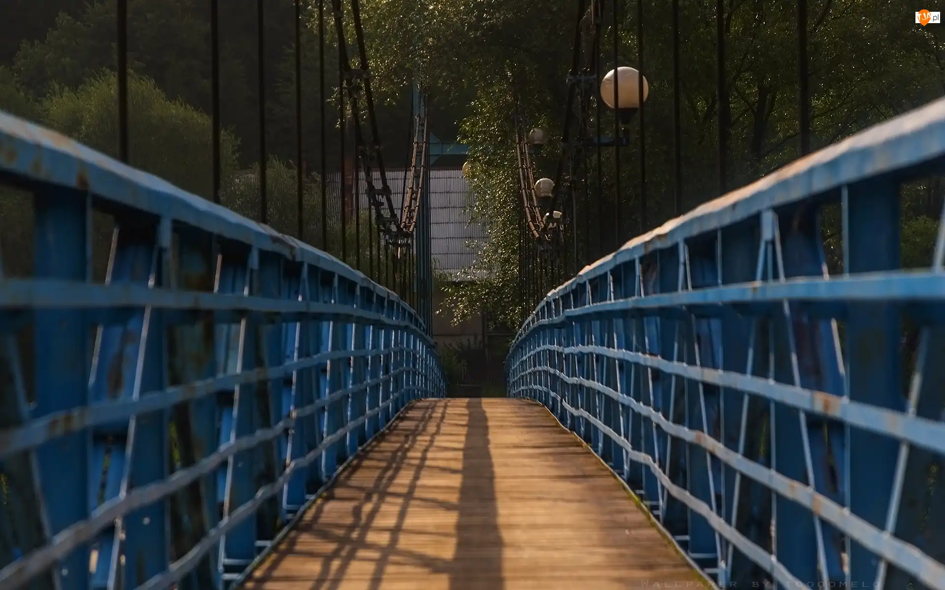 Perspektywa, Most linowy, Kładka dla pieszych, Balustrady