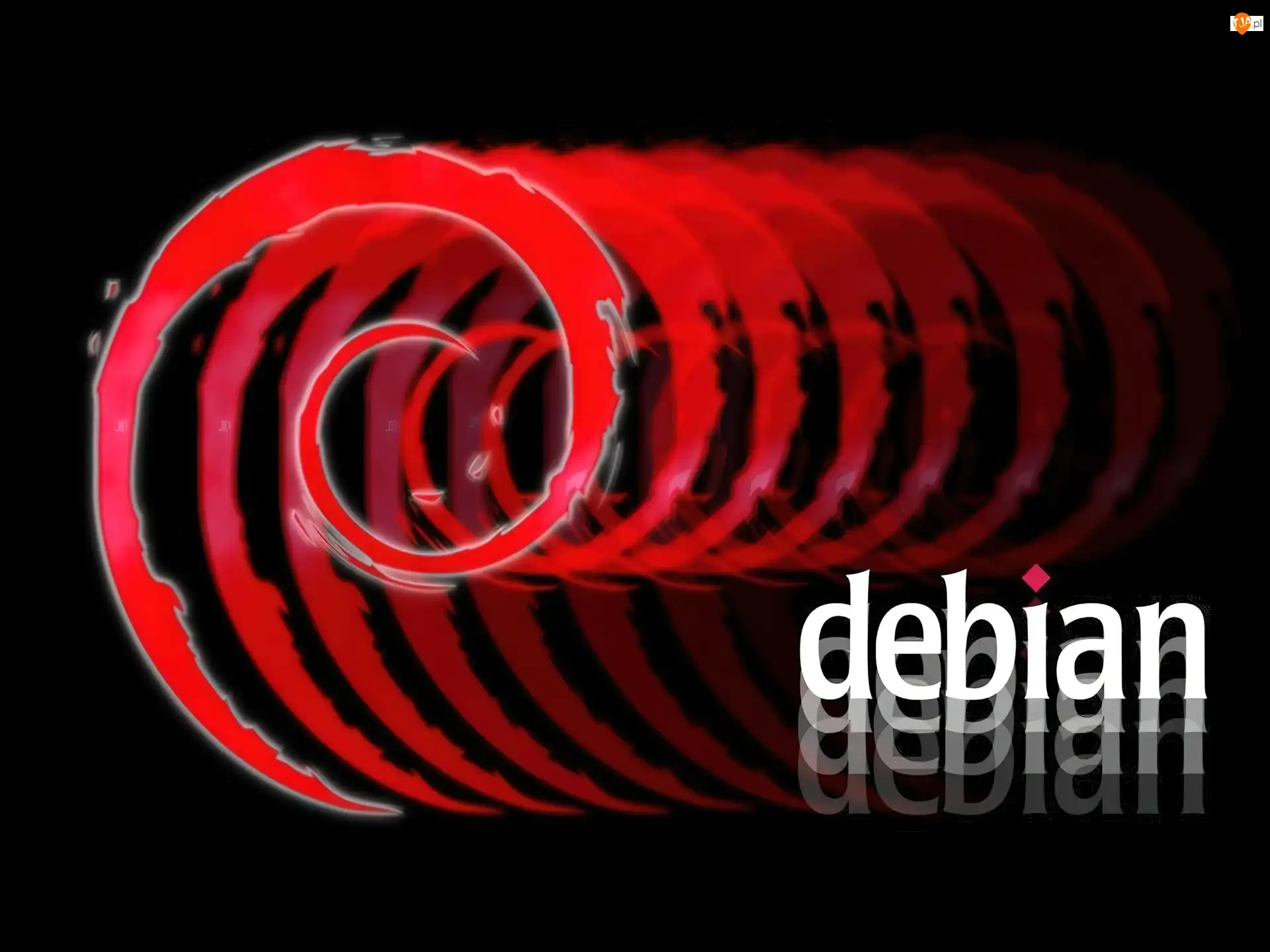 muszla, ślimak, grafika, Linux Debian, zawijas