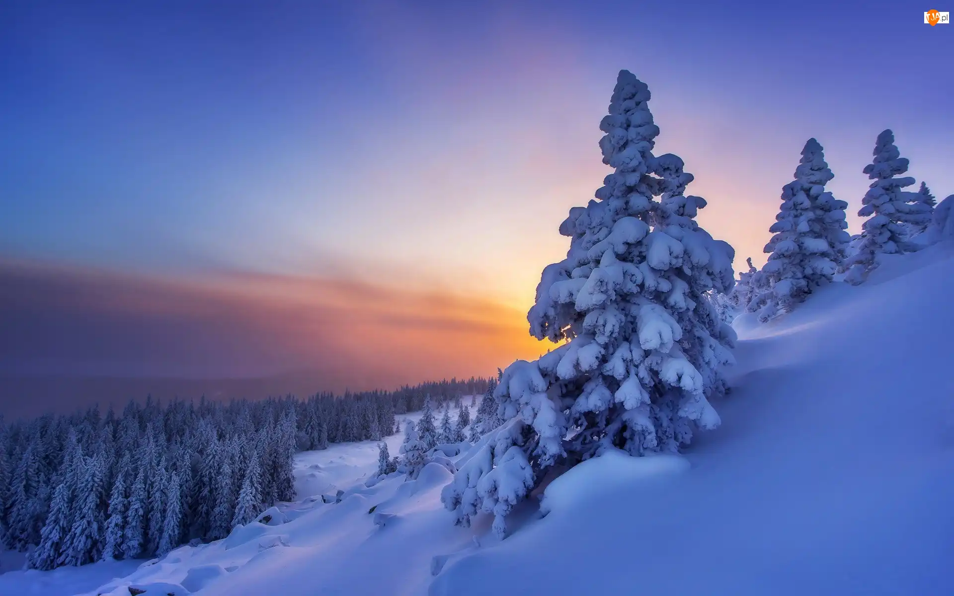 Śnieg, Zachód słońca, Las, Zima, Drzewa