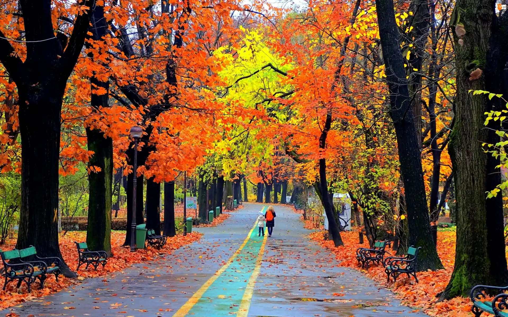 Ławki, Jesień, Alejki, Park, Ludzie