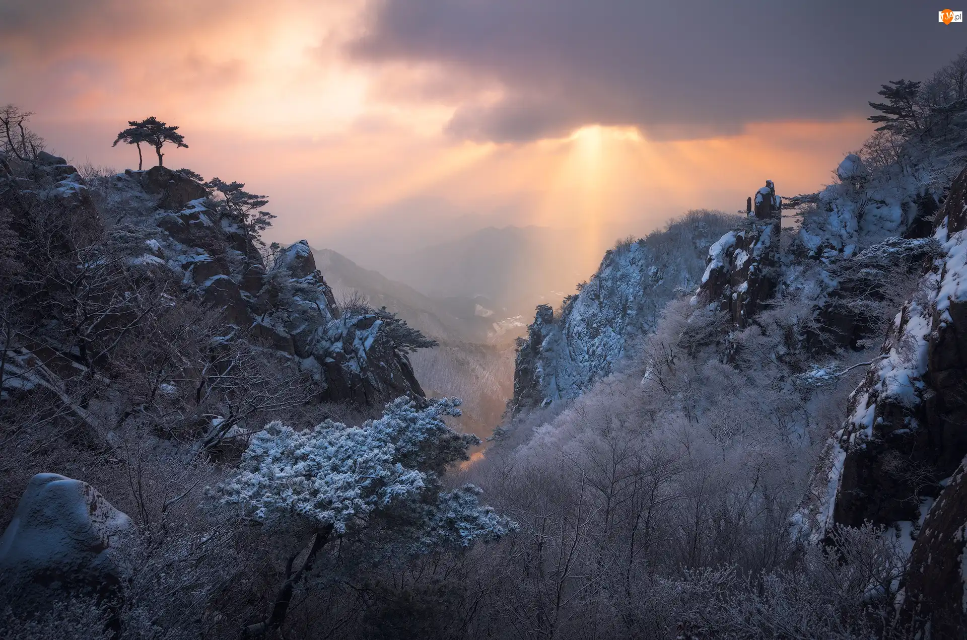 Park prowincjonalny Daedunsan, Zima, Drzewa, Jeolla Północna, Góry, Przebijające światło, Korea Południowa, Mgła