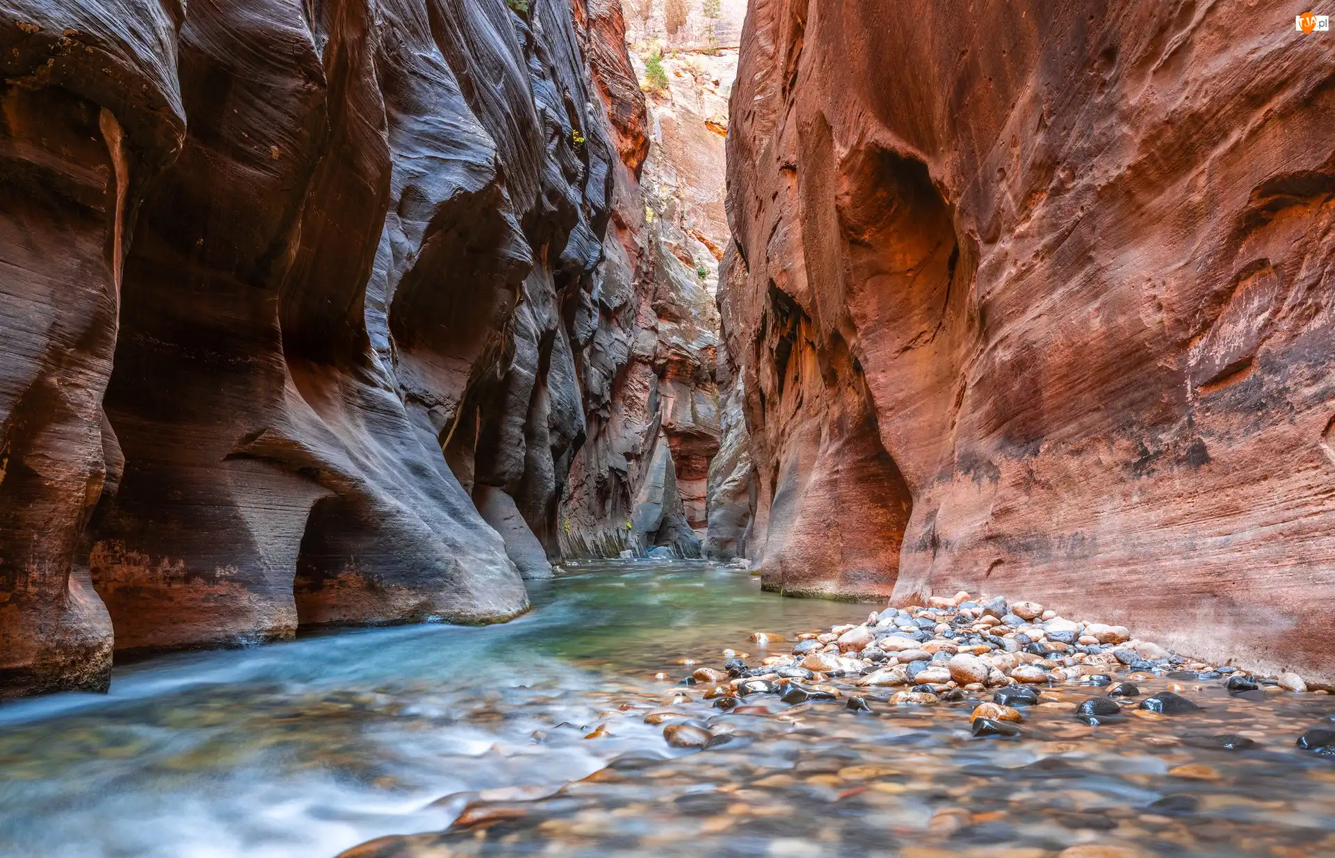 Zion Narrows, Rzeka, Stany Zjednoczone, Kanion, Stan Utah, Park Narodowy Zion, Virgin River