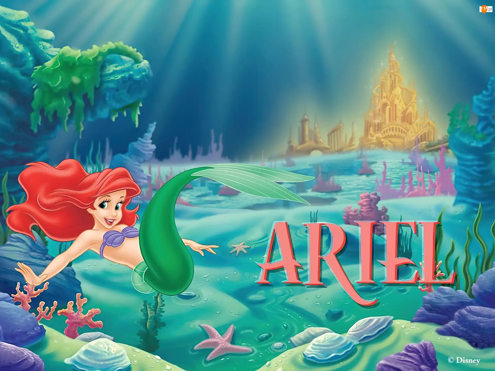Ariel, Mała Syrenka, The Little Mermaid