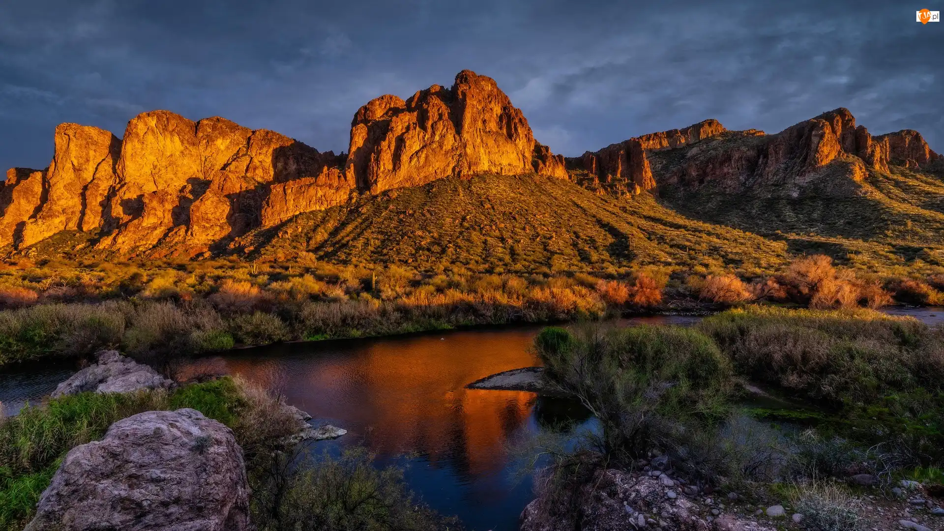 Arizona, Góry, Roślinność, Stany Zjednoczone, Salt River, Rzeka, Goldfield Mountains