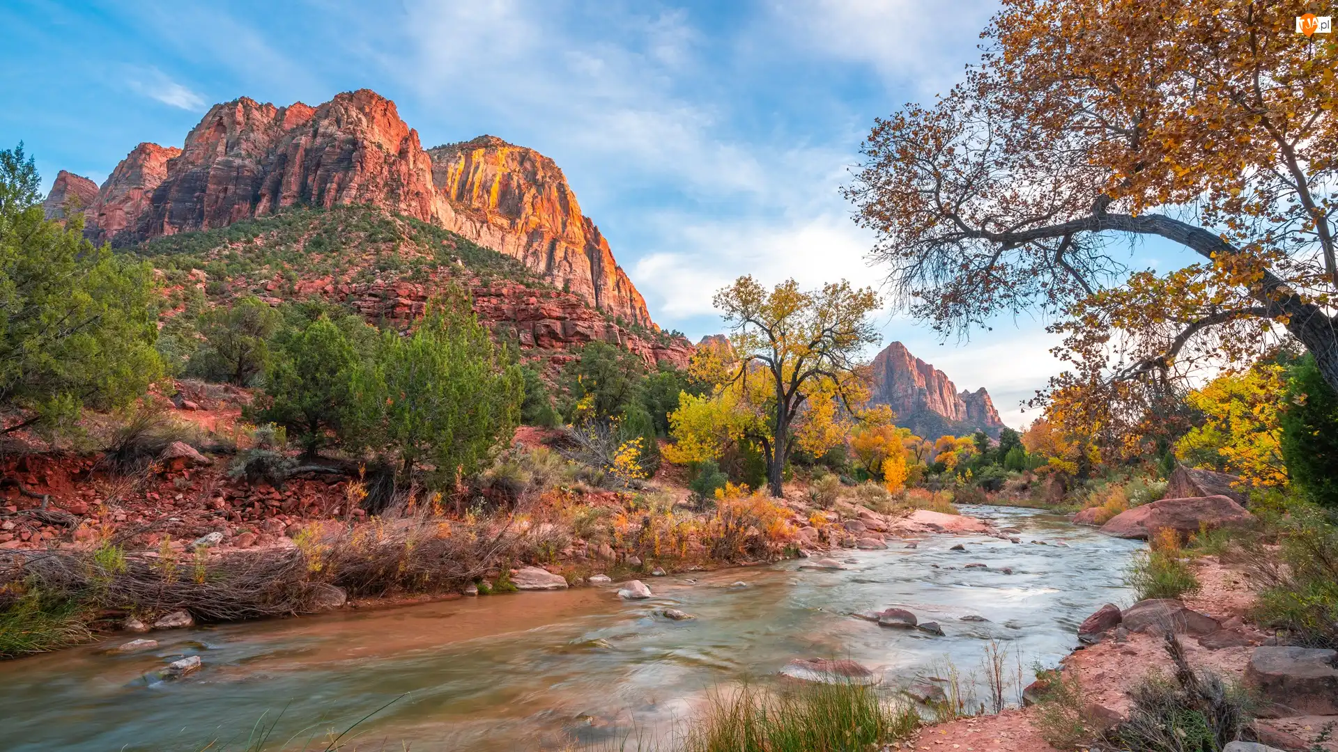 Kamienie, Park Narodowy Zion, Rzeka, Stan Utah, Góry Watchman, Virgin River, Stany Zjednoczone, Drzewa