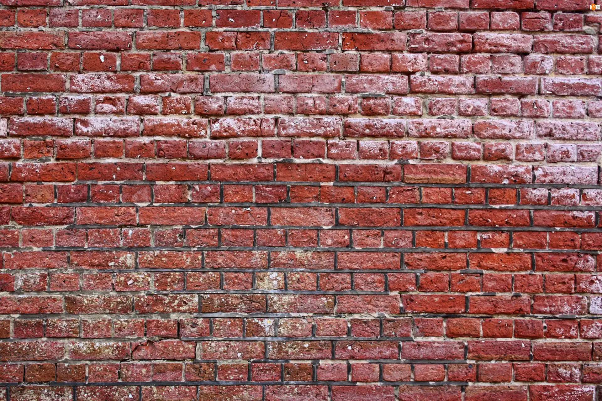 Mur, Cegły, Ściana