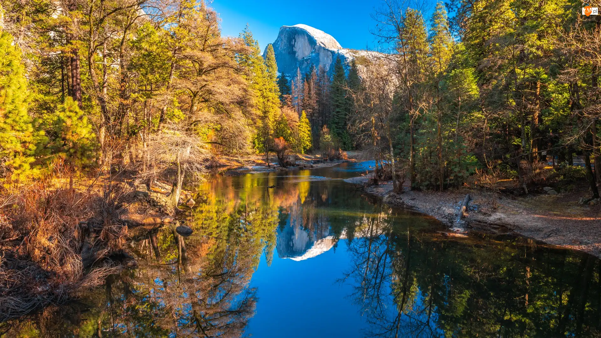 Stan Kalifornia, Park Narodowy Yosemite, Drzewa, Stany Zjednoczone, Rzeka Merced, Góry, Jesień