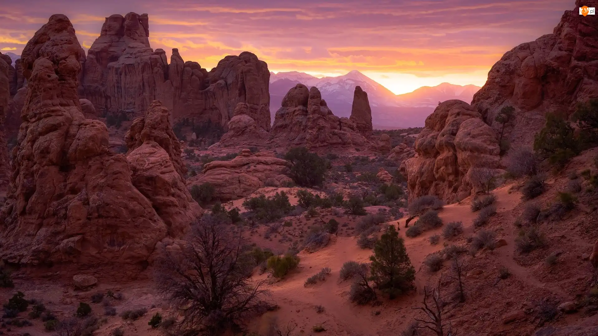 Skały, Stany Zjednoczone, Stan Utah, Park Narodowy Arches
