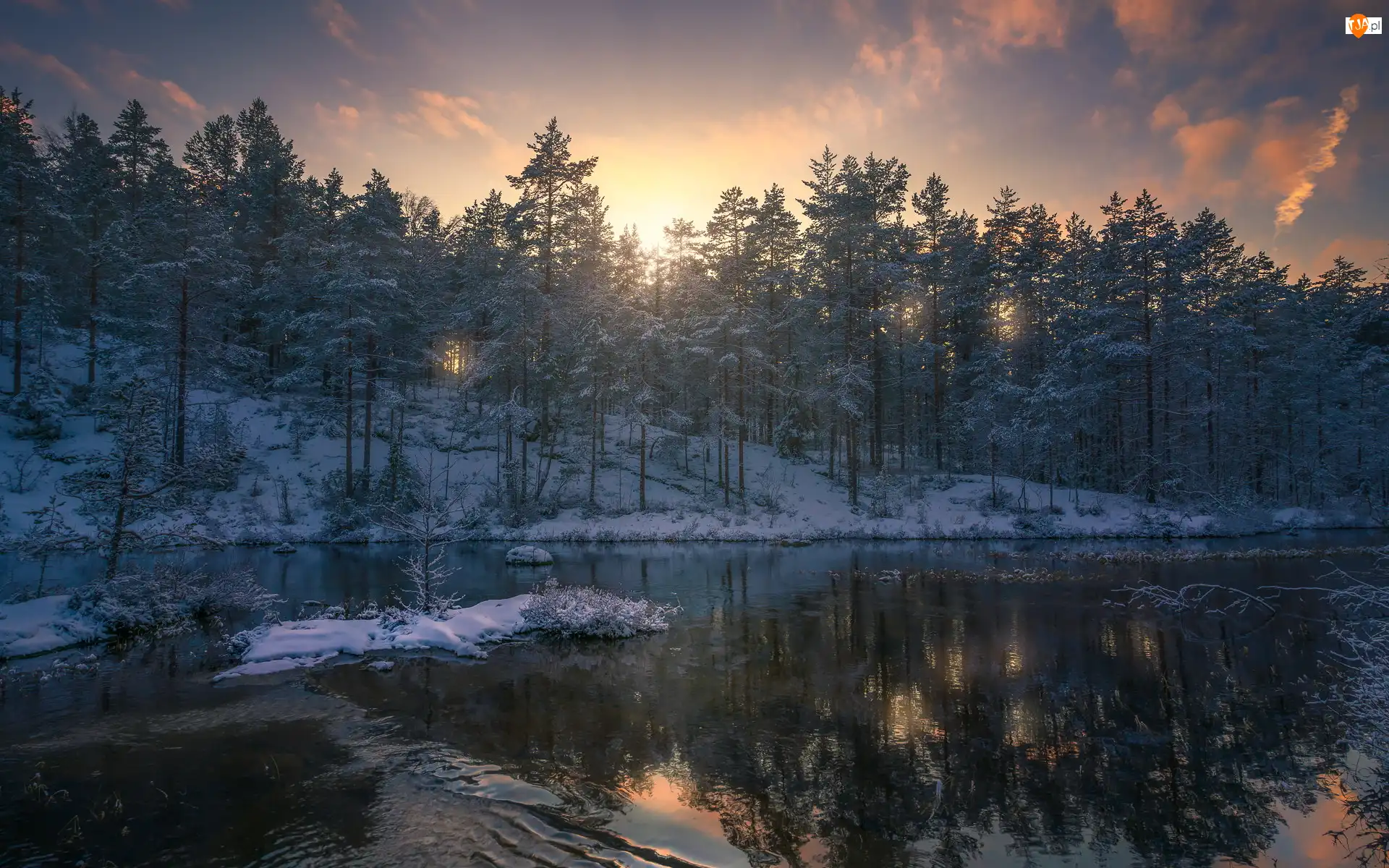 Jezioro, Zachód słońca, Drzewa, Norwegia, Zima, Ringerike