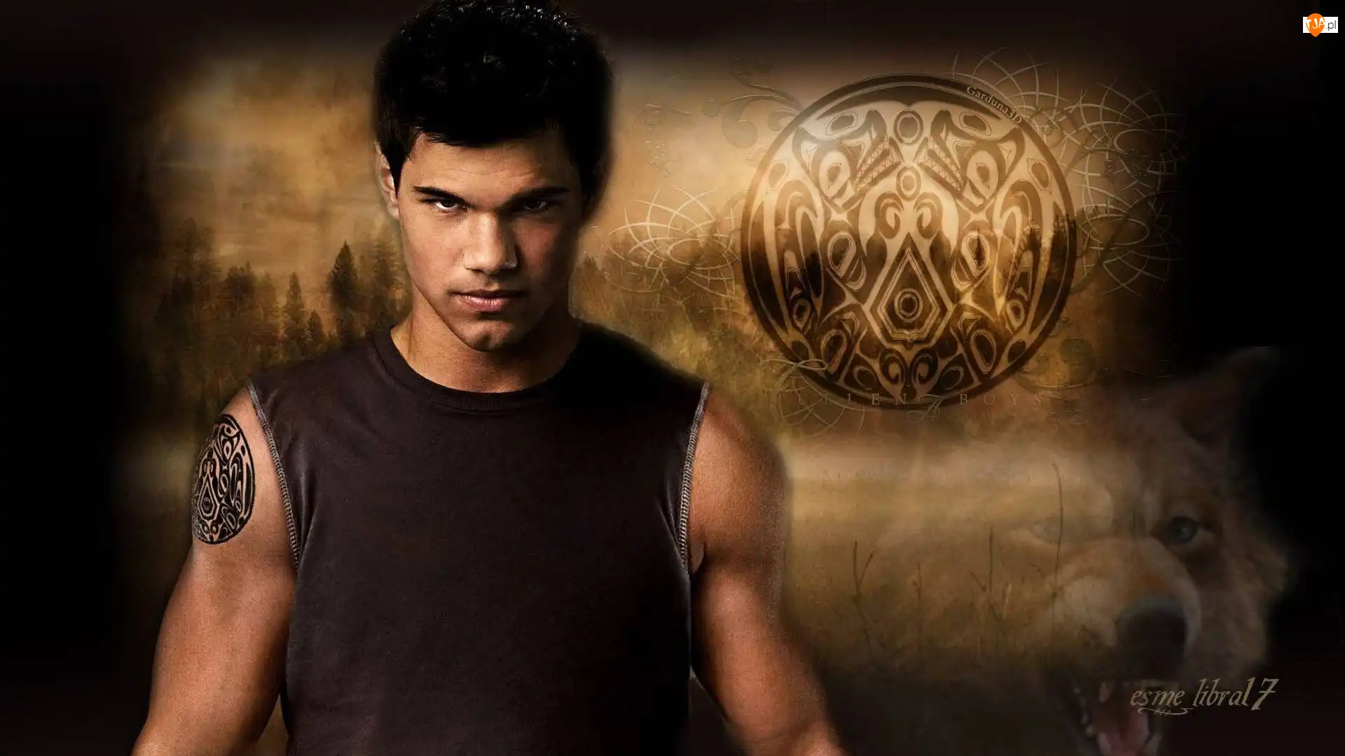Jacob, Zmierzch, Lautner, Taylor, Black