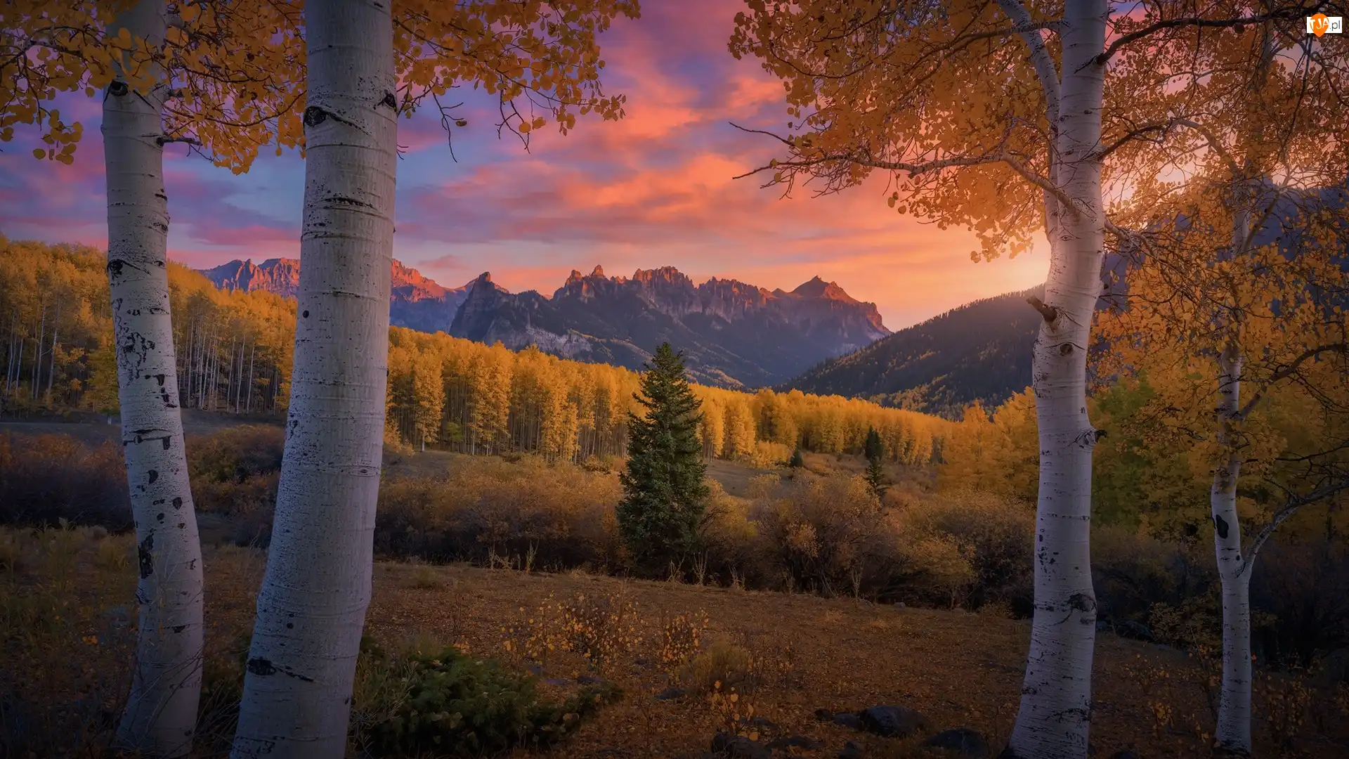 Stany Zjednoczone, San Juan Mountains, Kolorado, Jesień, Zachód słońca, Las, Drzewa, Góry, Brzozy