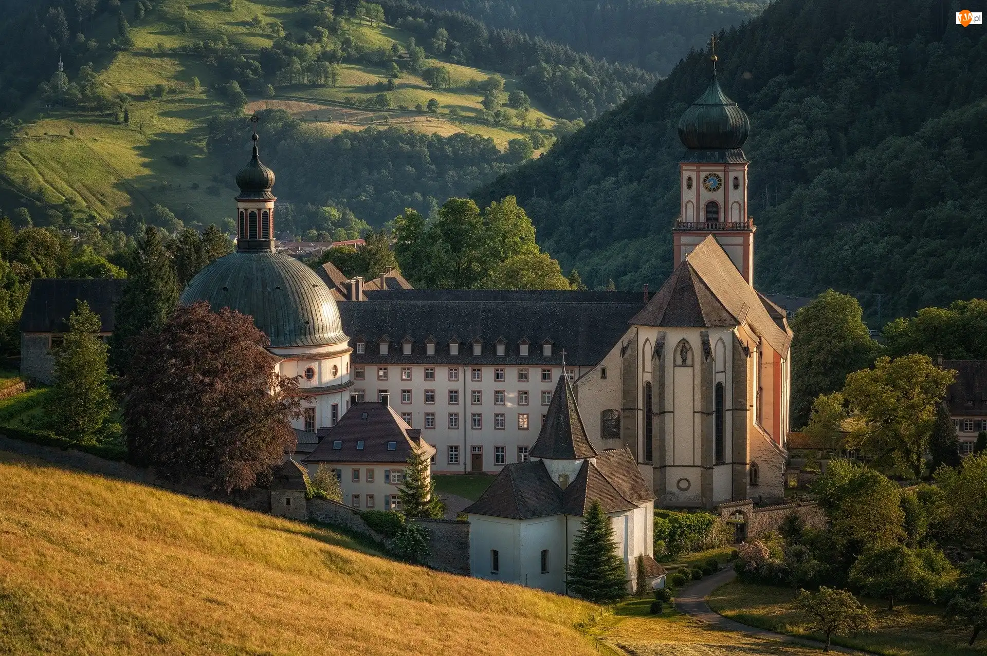 Opactwo św Trudperta, Klasztor, Góry, Niemcy, Drzewa, Munstertal