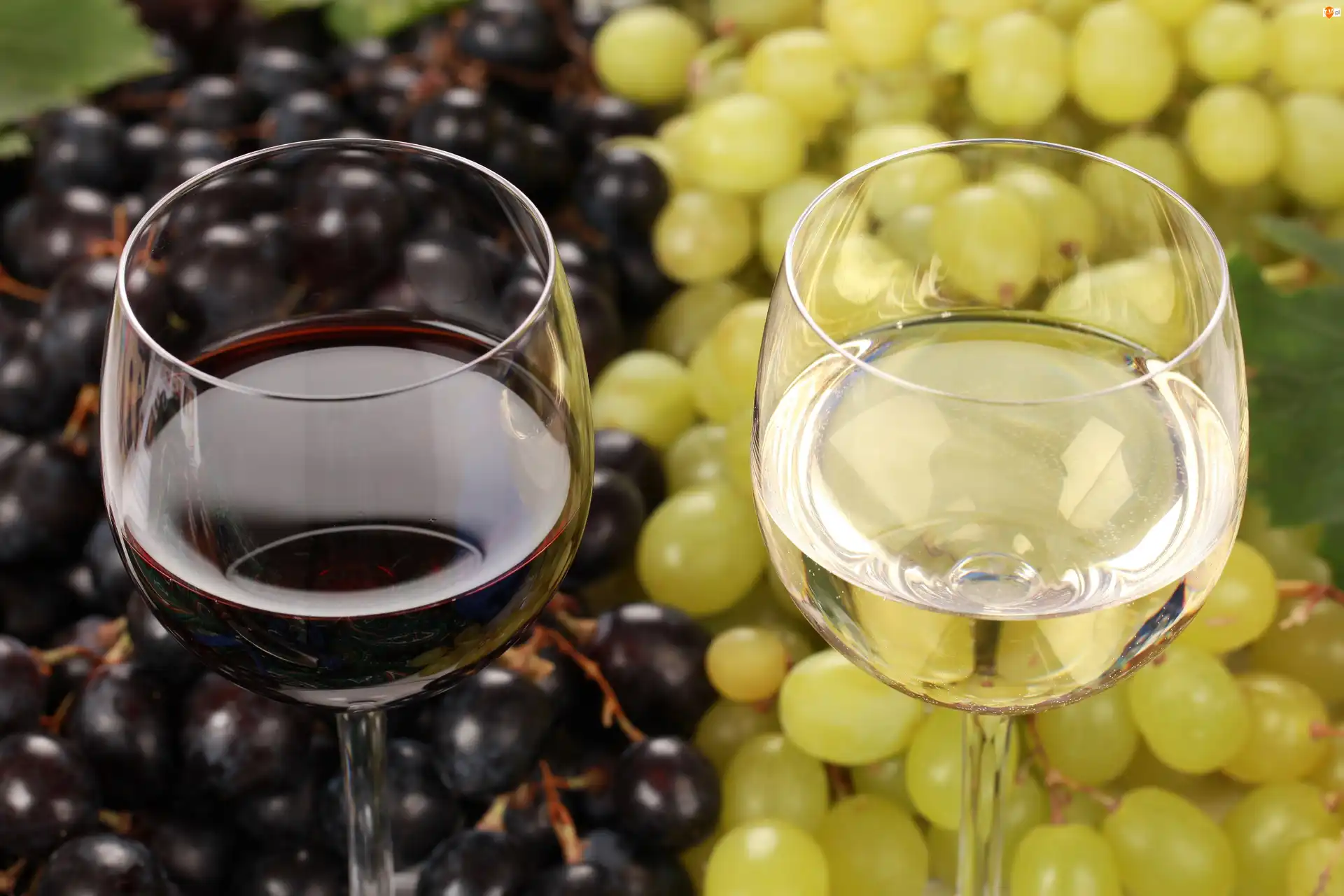 Białe, Winogrona, Kieliszki, Wino, Czerwone