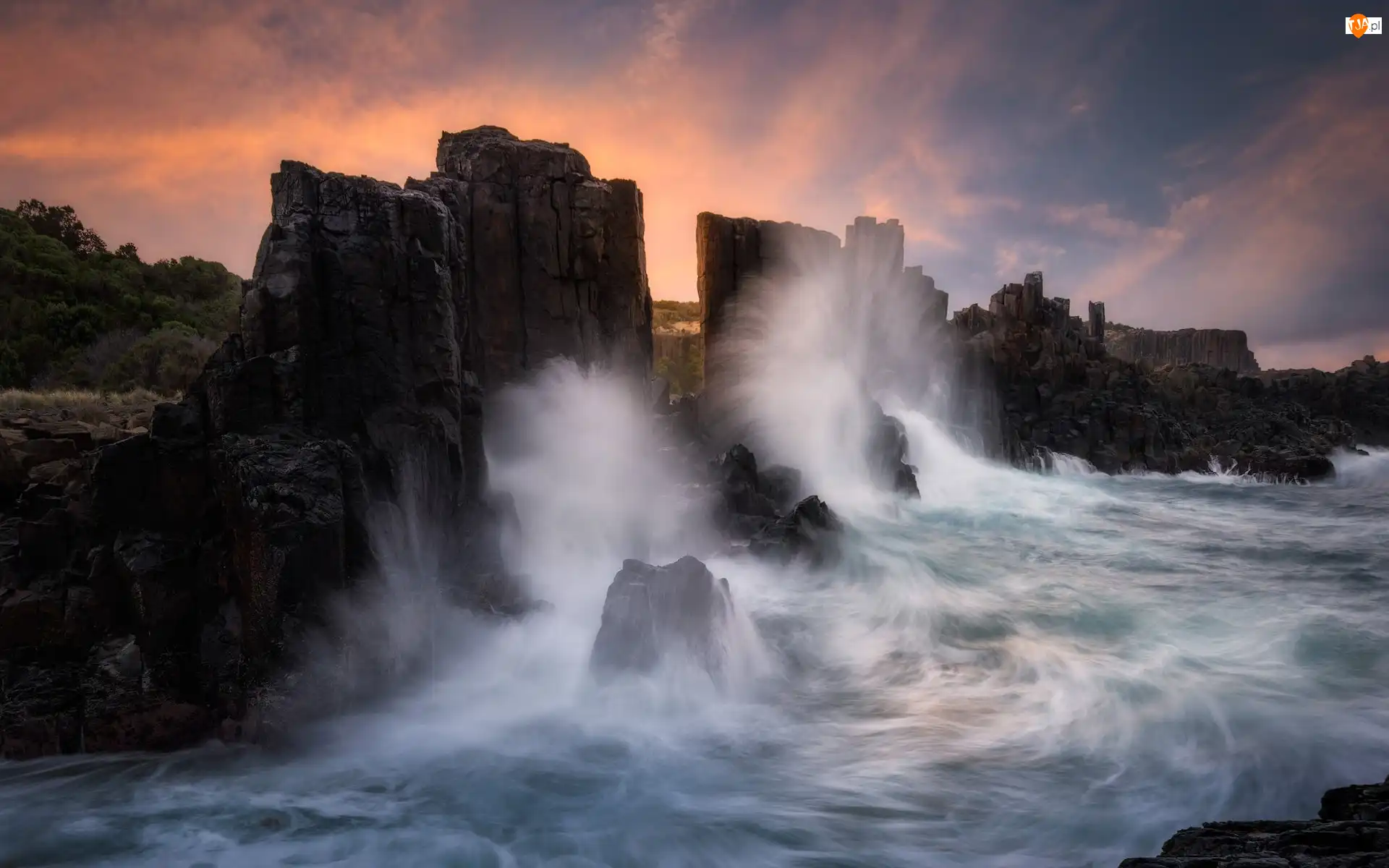 Australia, Fale, Kiama, Drzewa, Bombo, Formacja skalna, Bombo Headland Quarry, Morze, Skały