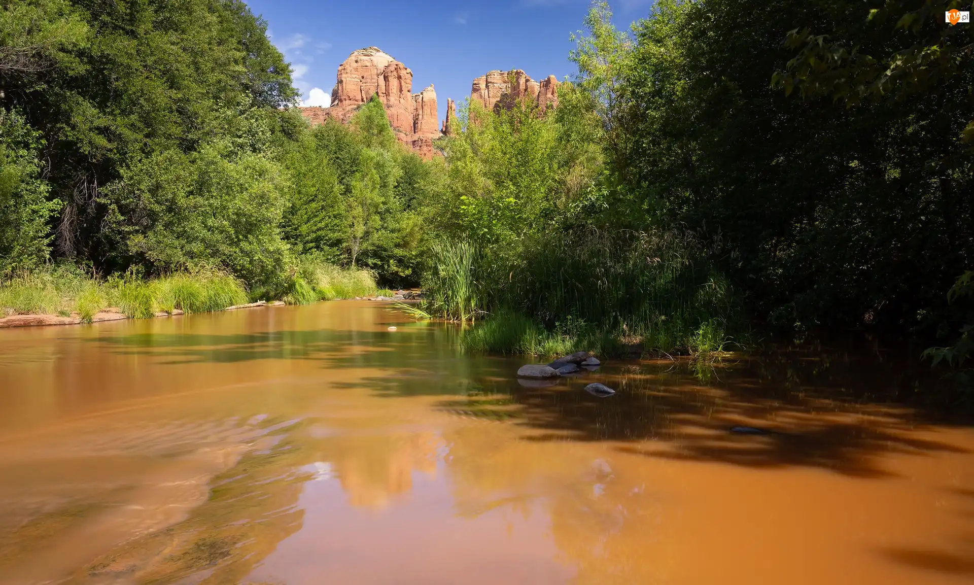 Drzewa, Rzeka, Red Rock State Park, Stany Zjednoczone, Góry, Arizona