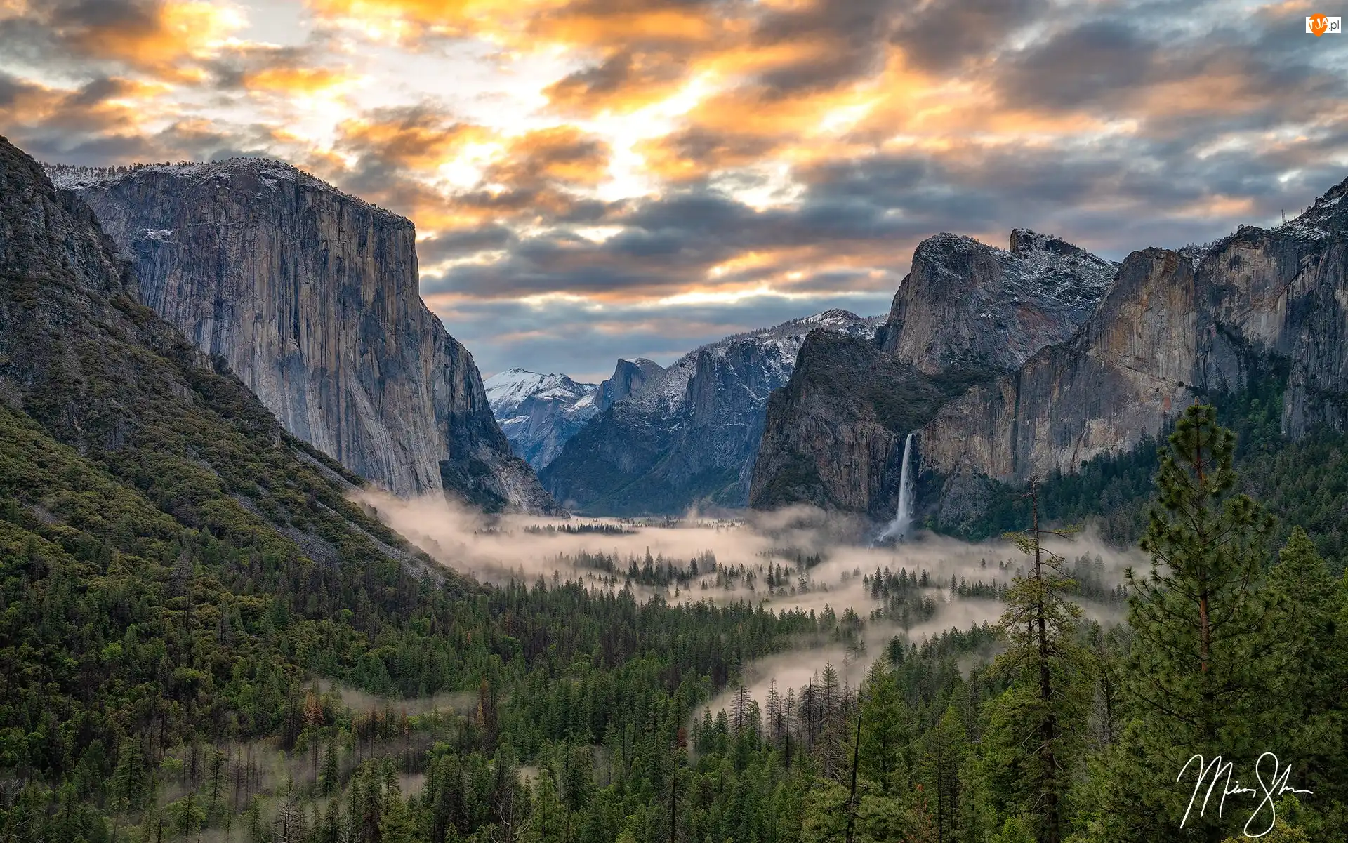 Chmury, Kalifornia, Drzewa, Dolina, Mgła, Park Narodowy Yosemite, Góry, Stany Zjednoczone, Yosemite Valley