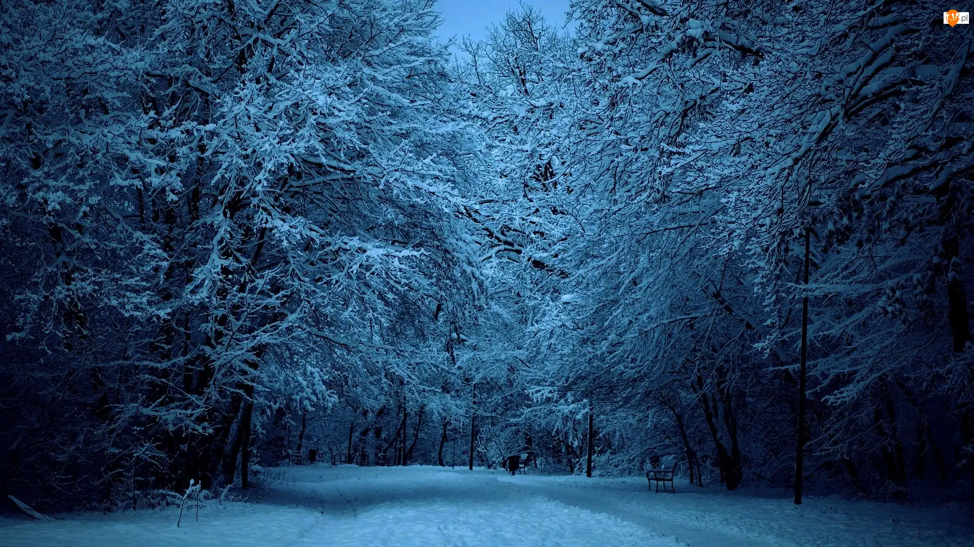 Aleja, Park, Latarnie, Zima, Ławki, Światło
