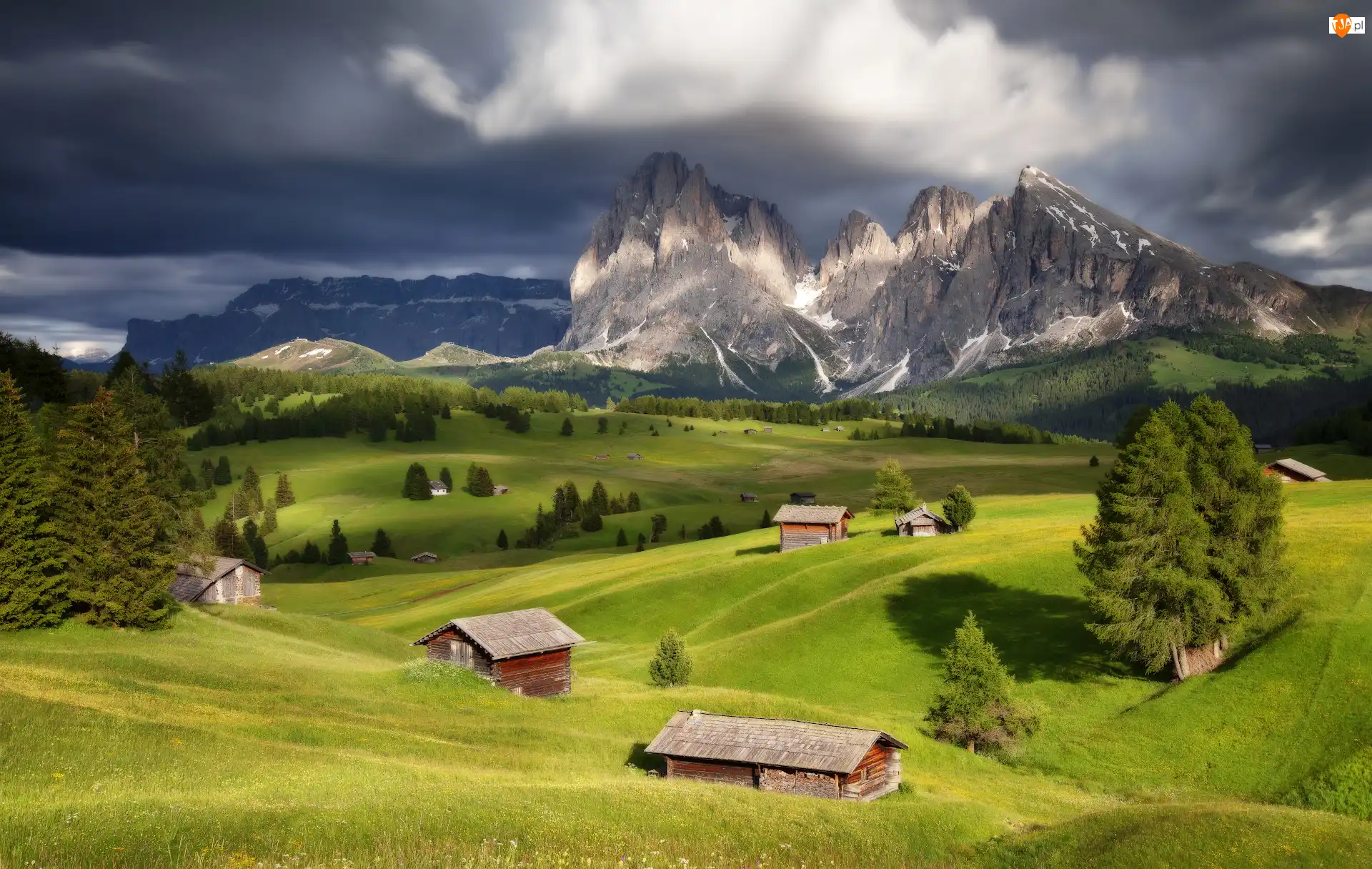 Domy, Płaskowyż Seiser Alm, Góry Sassolungo, Drzewa, Dolina Val Gardena, Mgła, Włochy, Dolomity