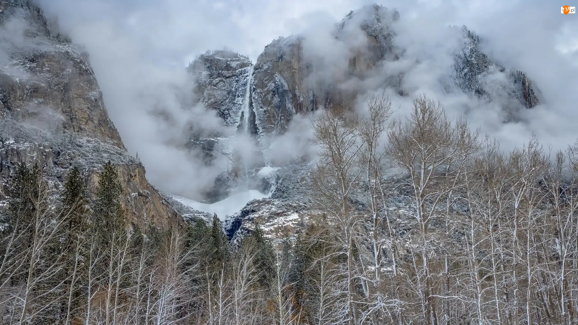 Kalifornia, Park Narodowy Yosemite, Drzewa, Mgła, Stany Zjednoczone, Góry