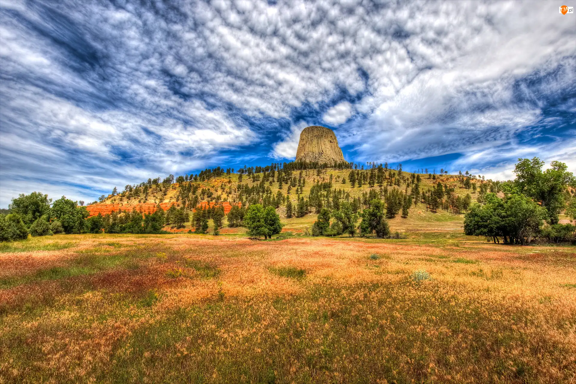 Skała Devils Tower, Wzgórze, Stany Zjednoczone, Góra, Stan Wyoming, Chmury, Drzewa