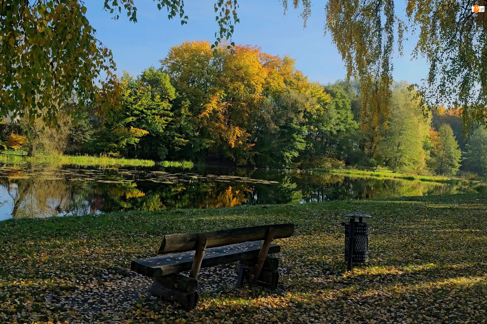 Ławka, Park, Liście, Staw, Opadłe, Jesień, Drzewa