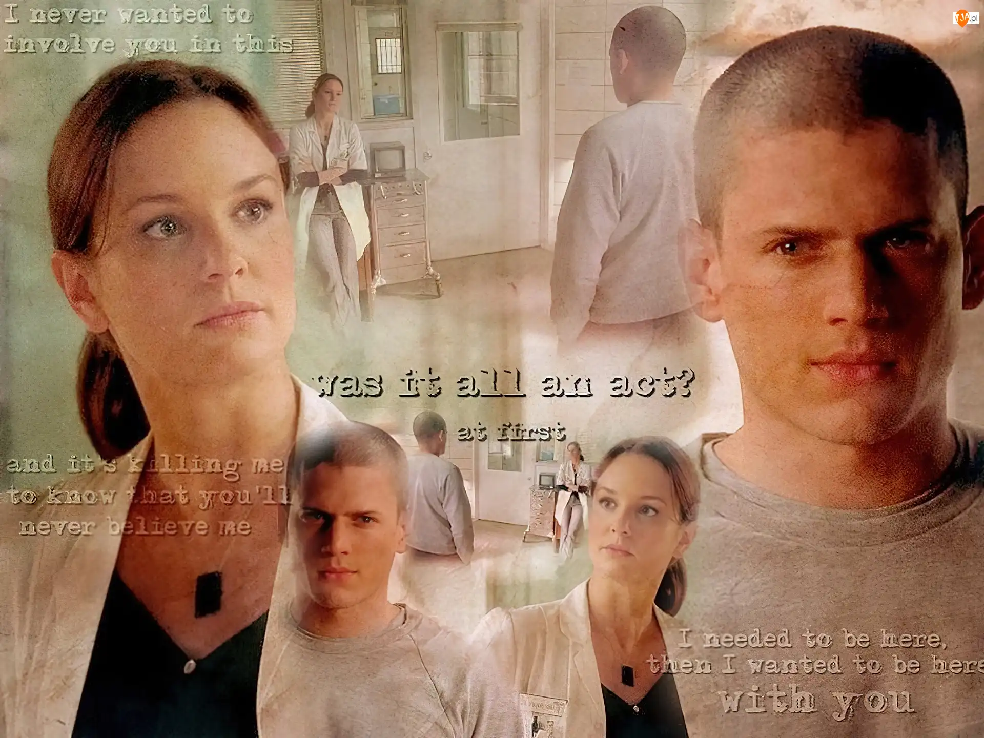 Wentworth Miller, gabinet, Skazany na śmierć, Prison Break, Sarah Wayne Callies