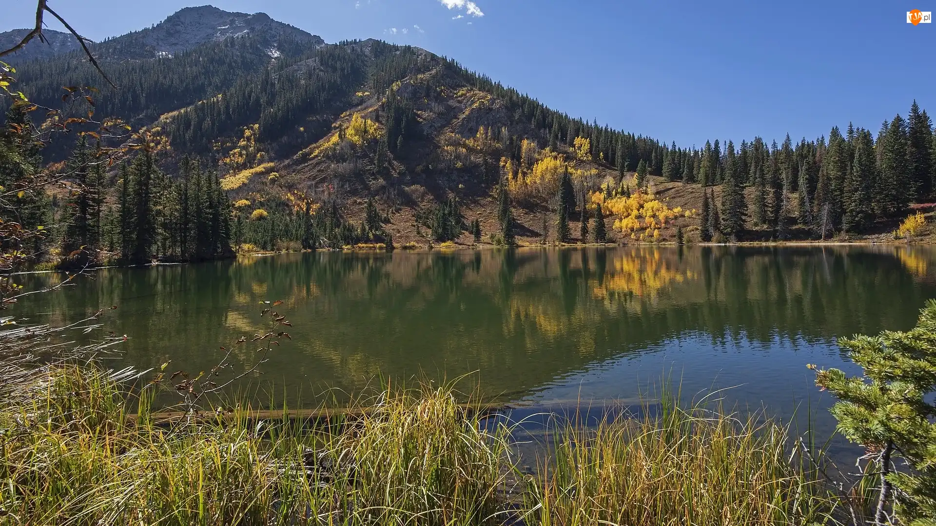 West Elk Mountains, Góry, Dollar Lake, Stany Zjednoczone, Jezioro, Kolorado