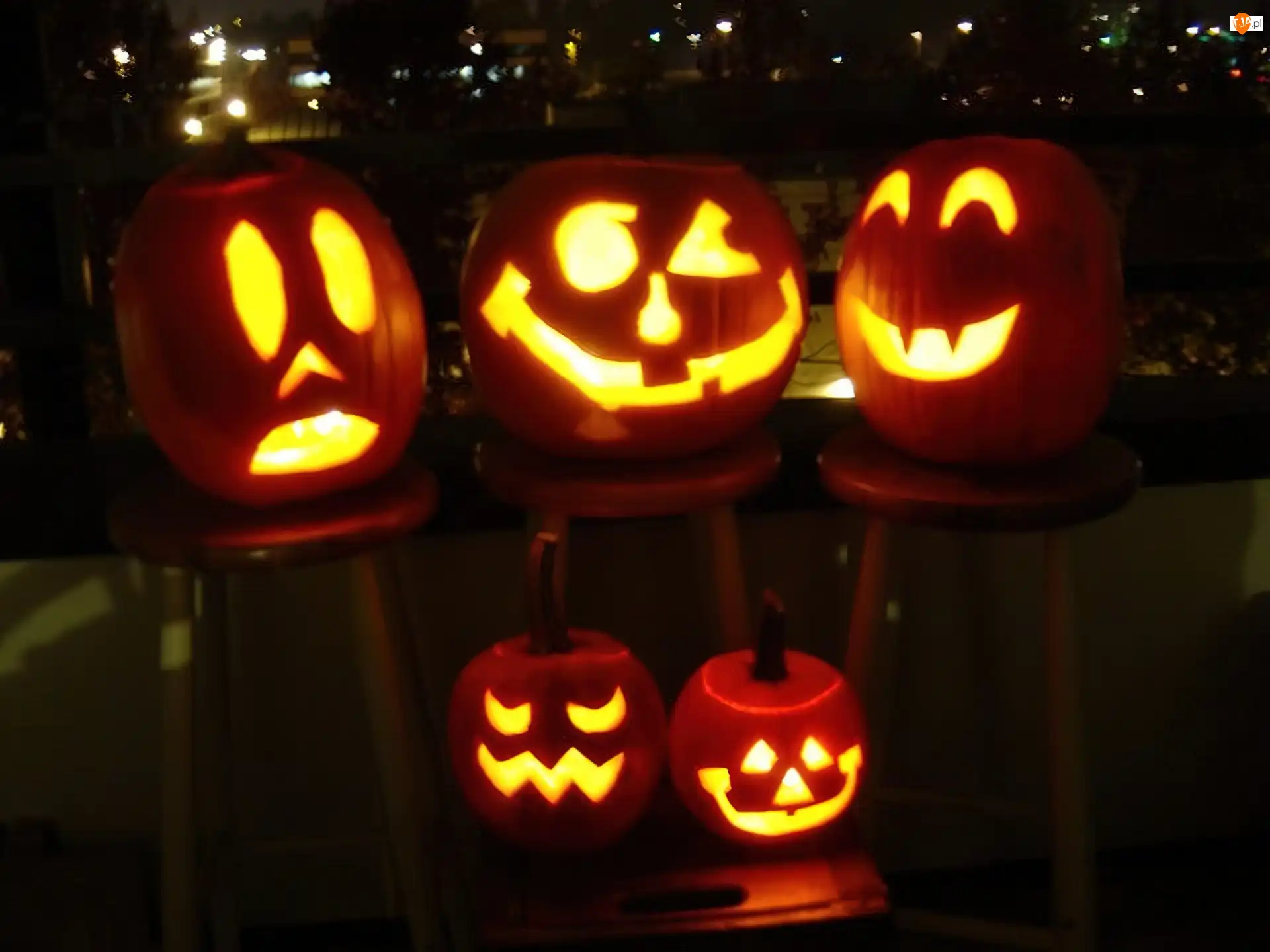 dynie na krzesłach, Halloween