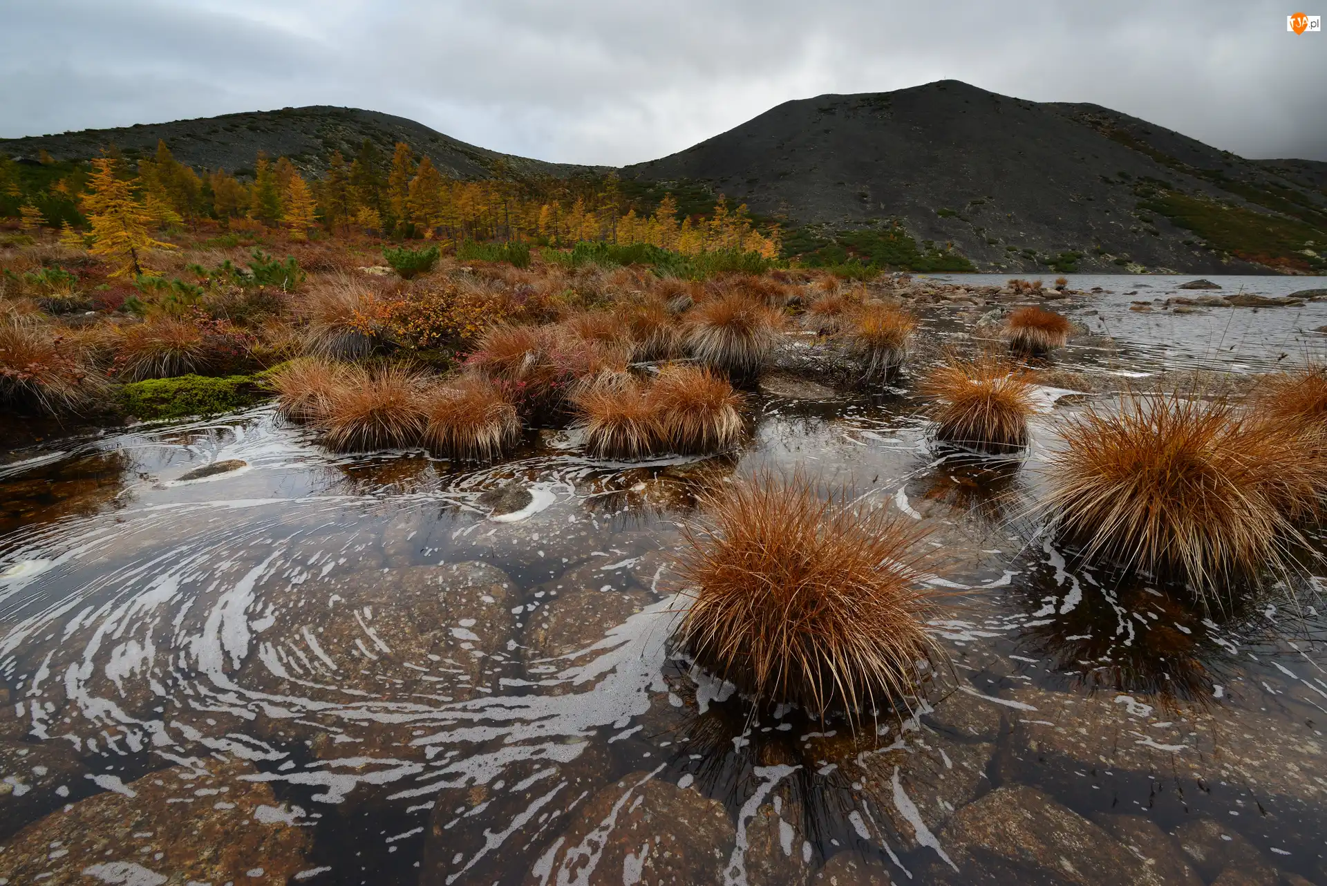 Kołyma, Jesień, Kępy, Obwód magadański, Góry Kołymskie, Trawy, Rosja, Jezioro Anemone