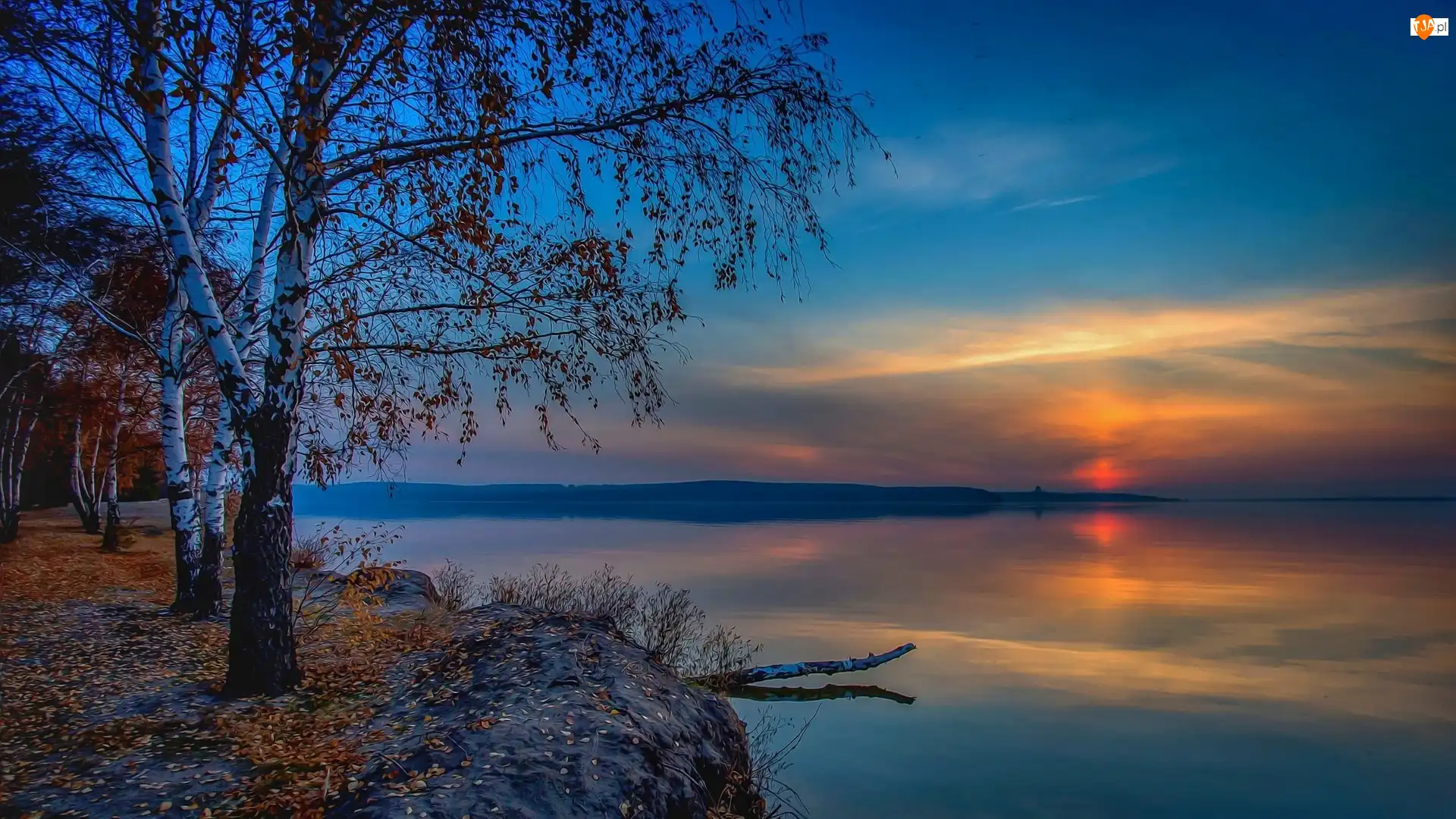 Brzoza, Jezioro, Zachód słońca, Fractalius