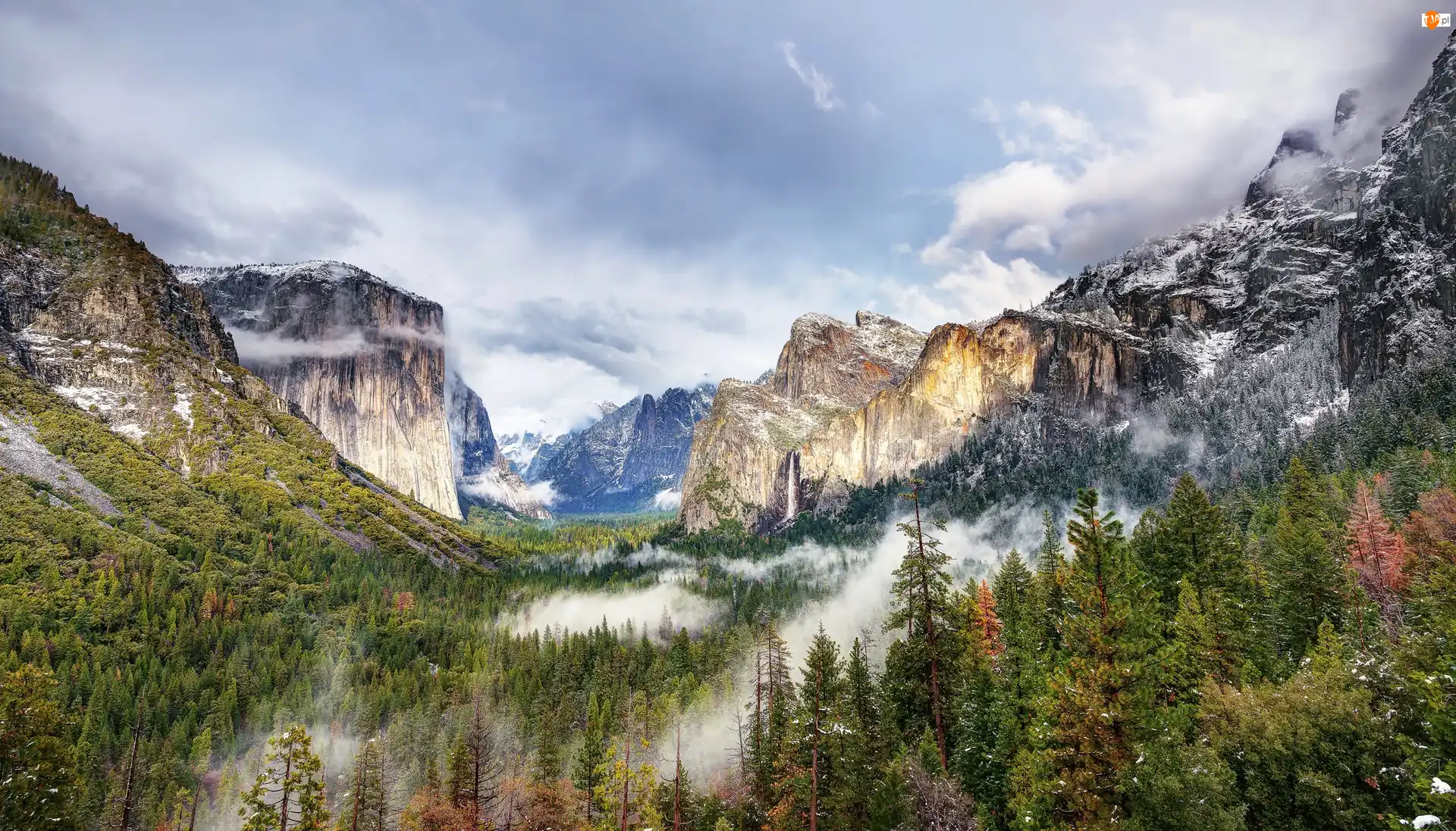 Stan Kalifornia, Park Narodowy Yosemite, Mgła, Stany Zjednoczone, Las, Góry, Dolina Yosemite Valley