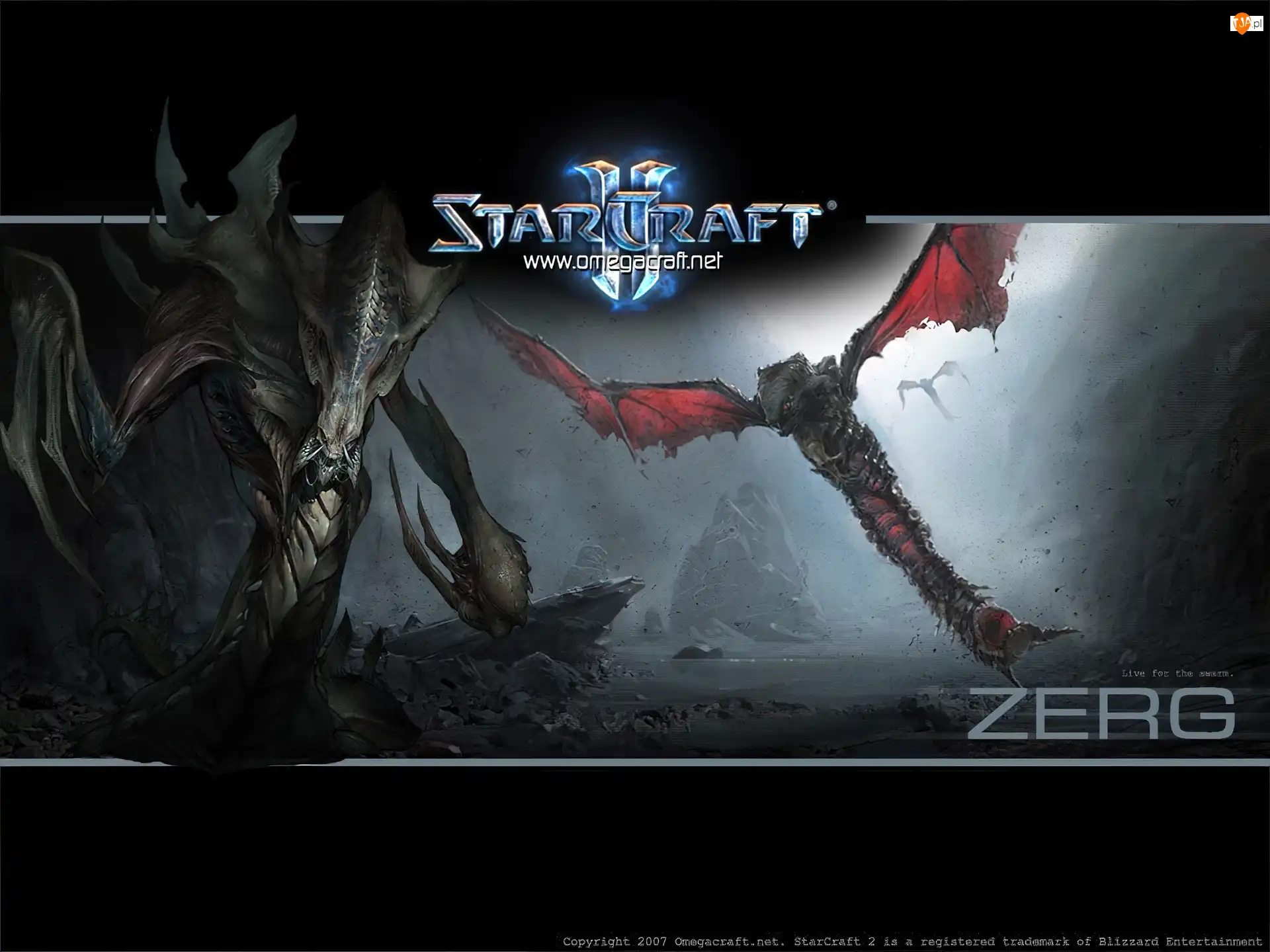 logo, skrzydła, Starcraft 2, grafika