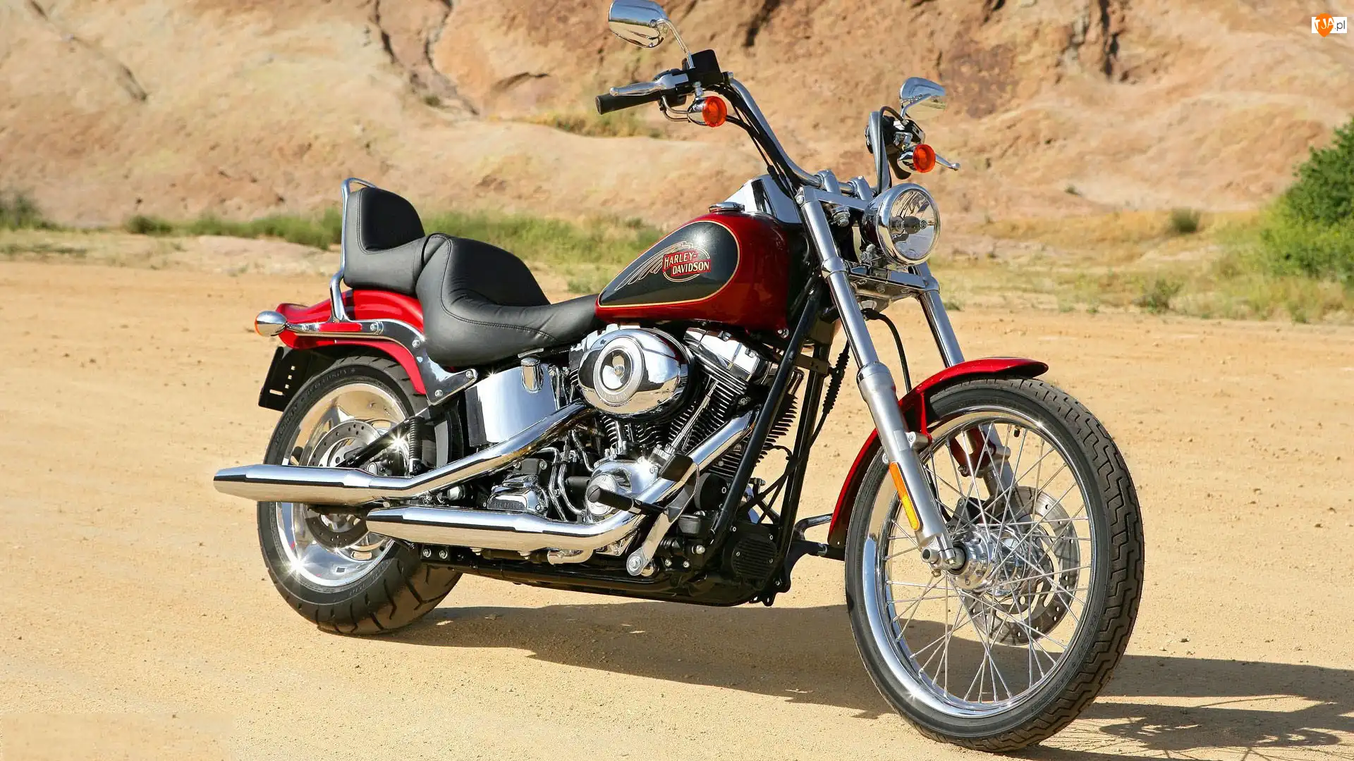 Harley-Davidson Softail Custom, Motocykl