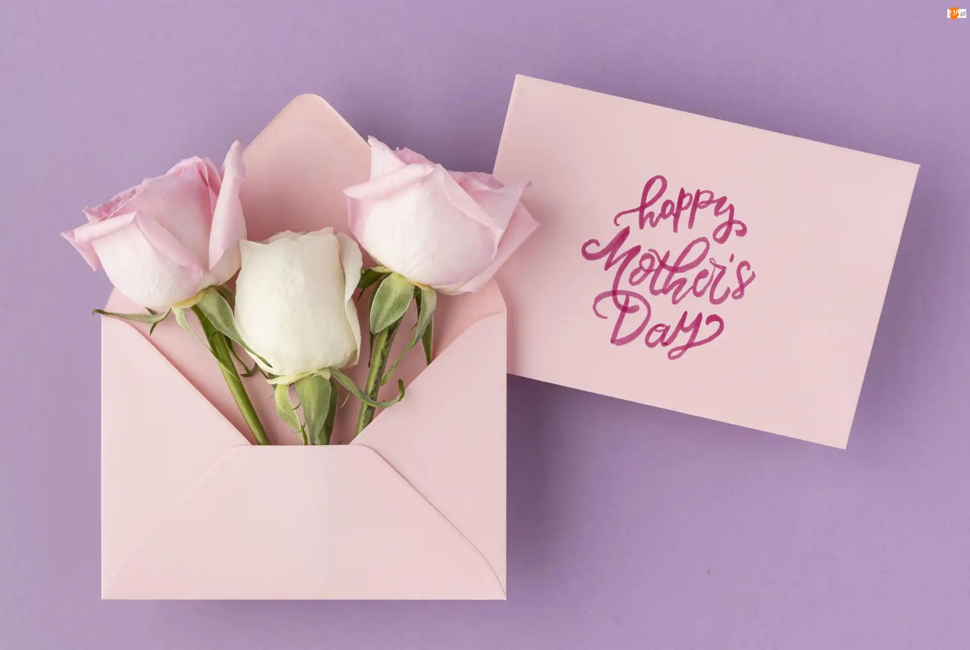 Tło, Kwiaty, Róże, Koperta, Różowa, Dzień Matki, Napis, Kartka, Happy Mothers Day, Fioletowe