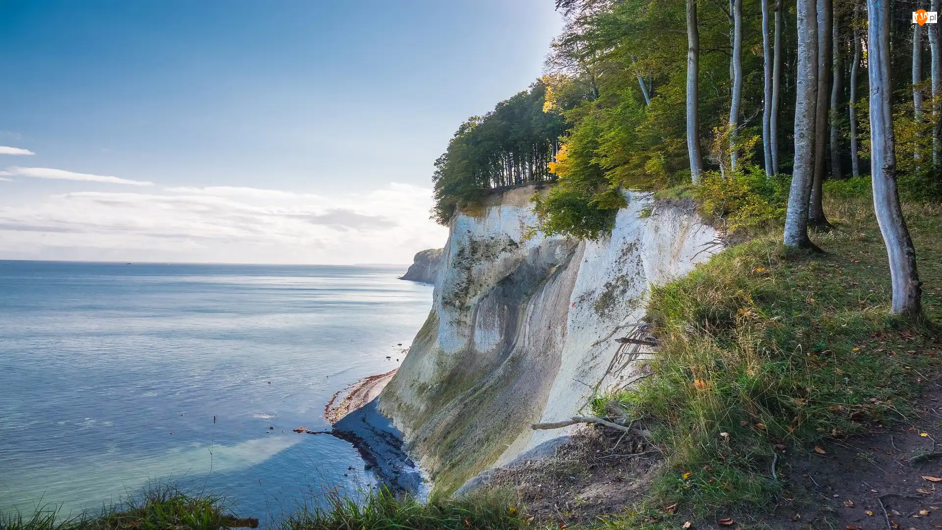 Wyspa Rugia, Niemcy, Klif, Morze Bałtyckie, Park Narodowy Jasmund, Drzewa