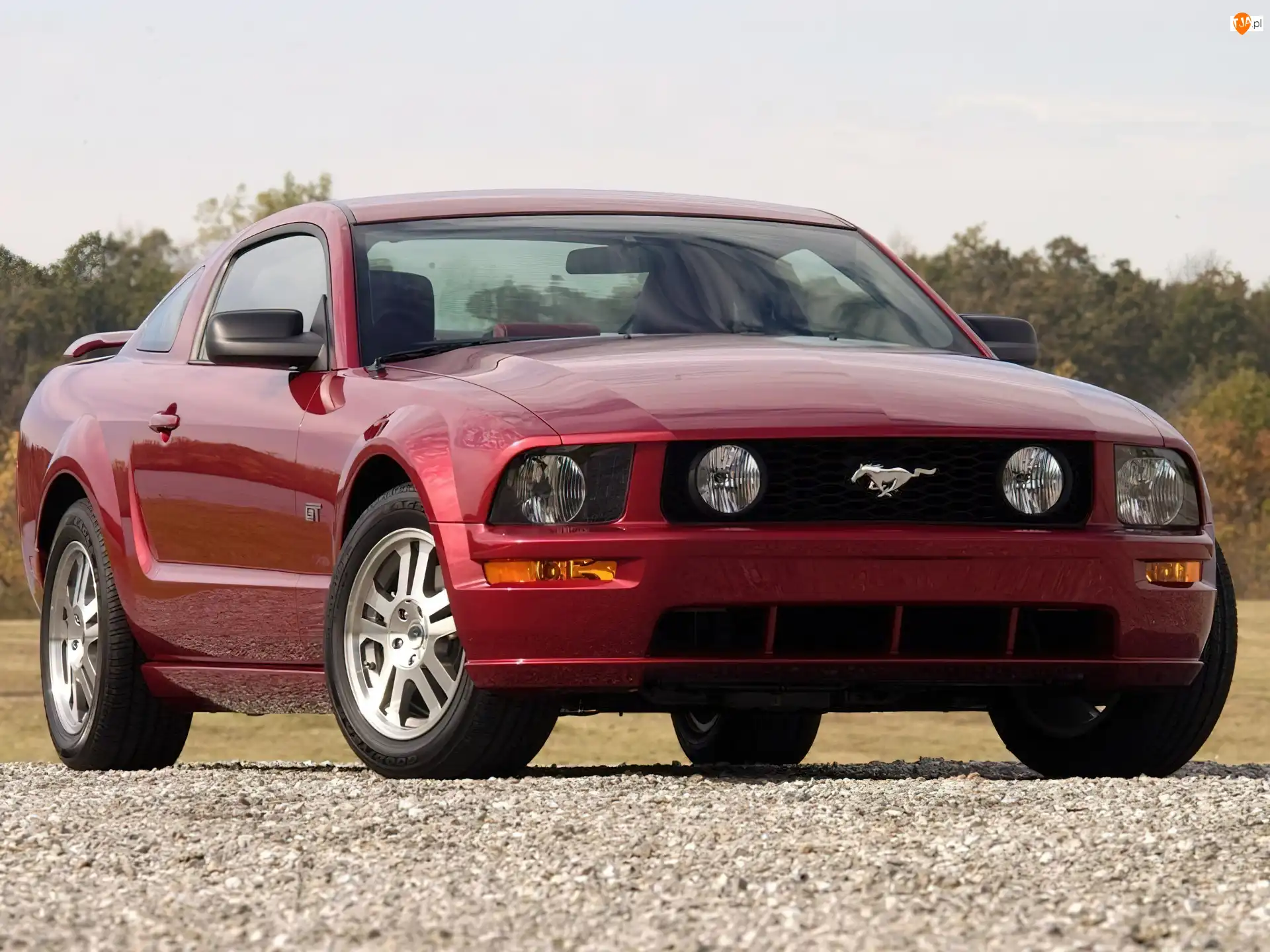 Ford Mustang, Wiśniowy