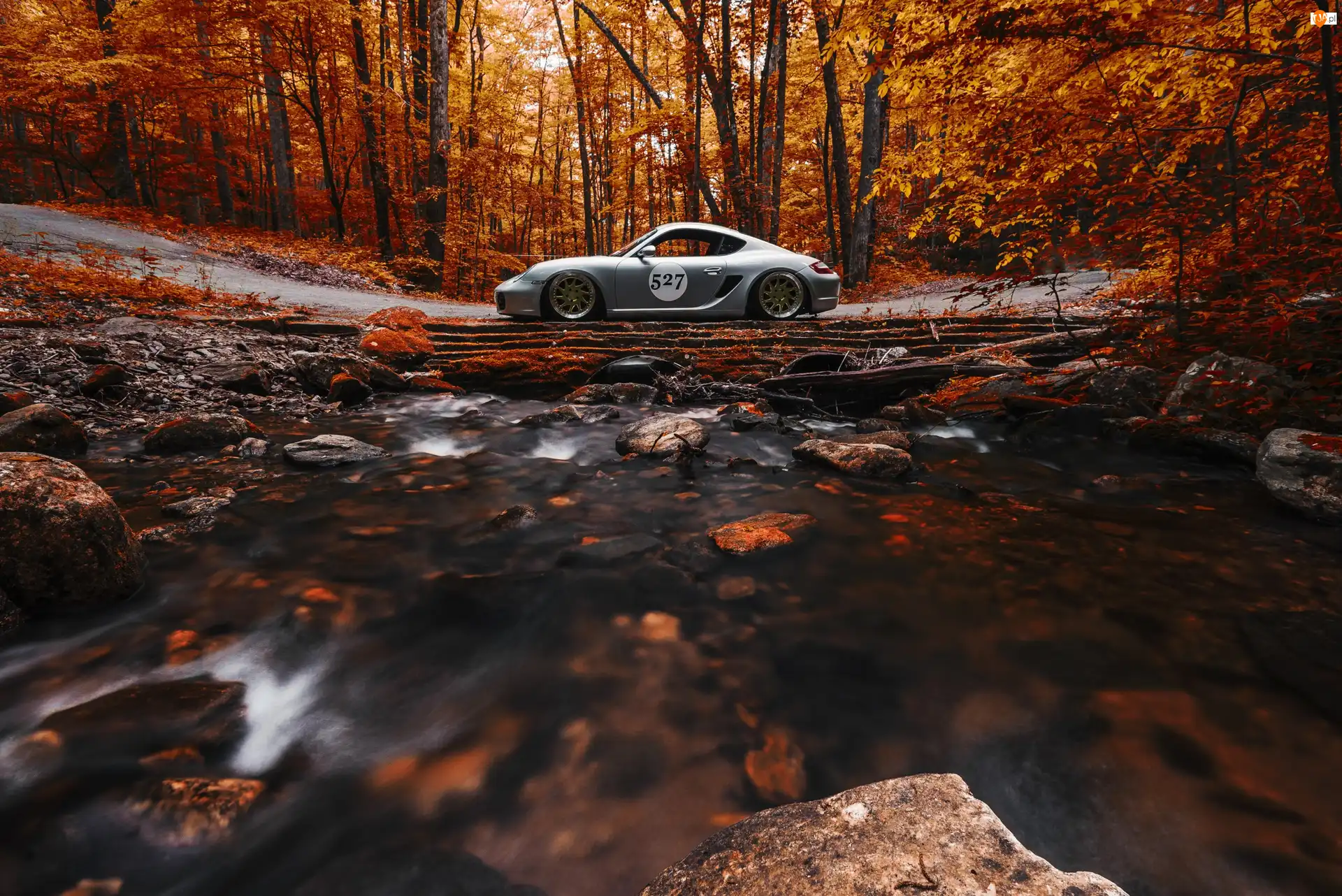 Las, Srebrne, Porsche, Jesienny
