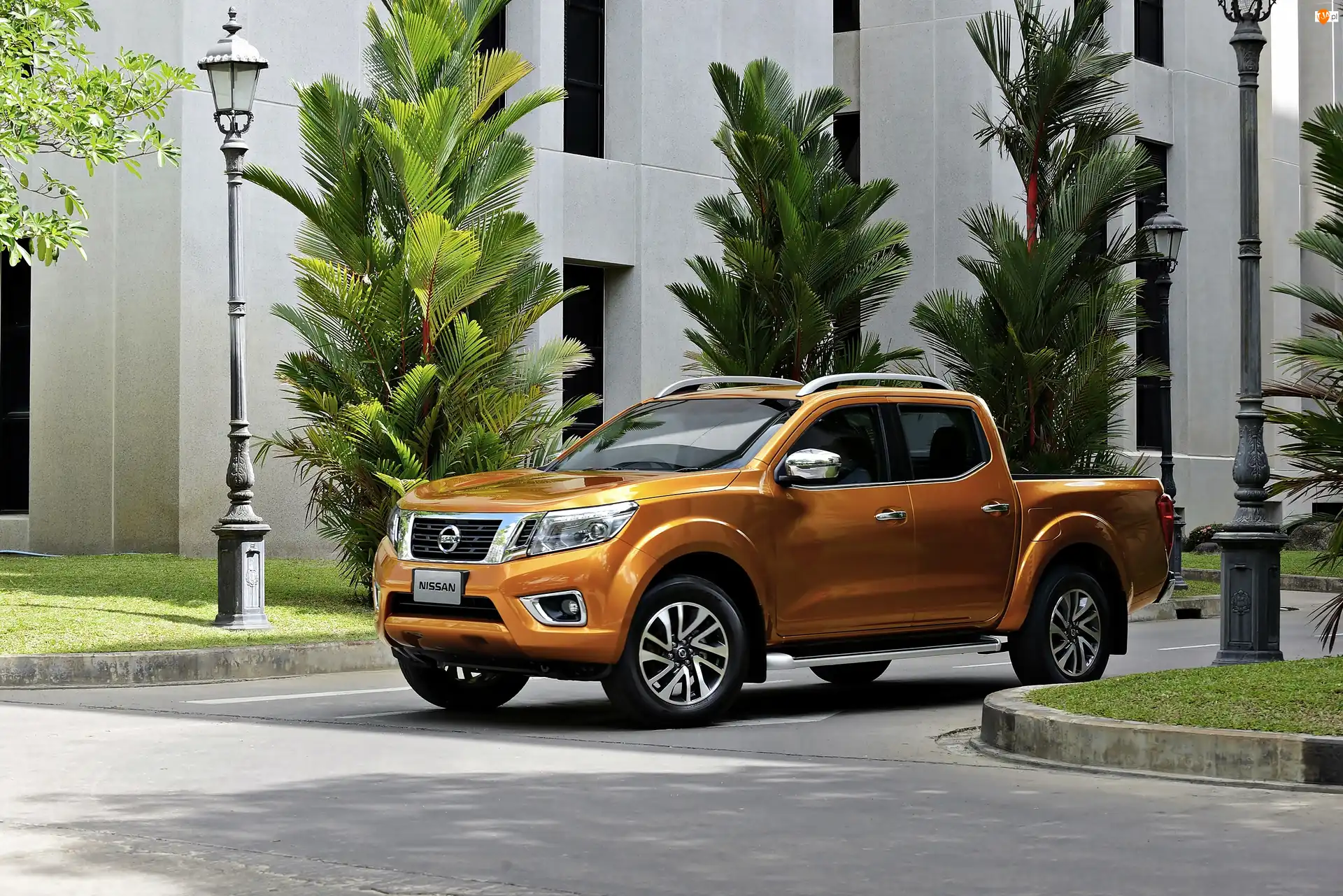 V Single Cab, Nissan, NP300, Navarra