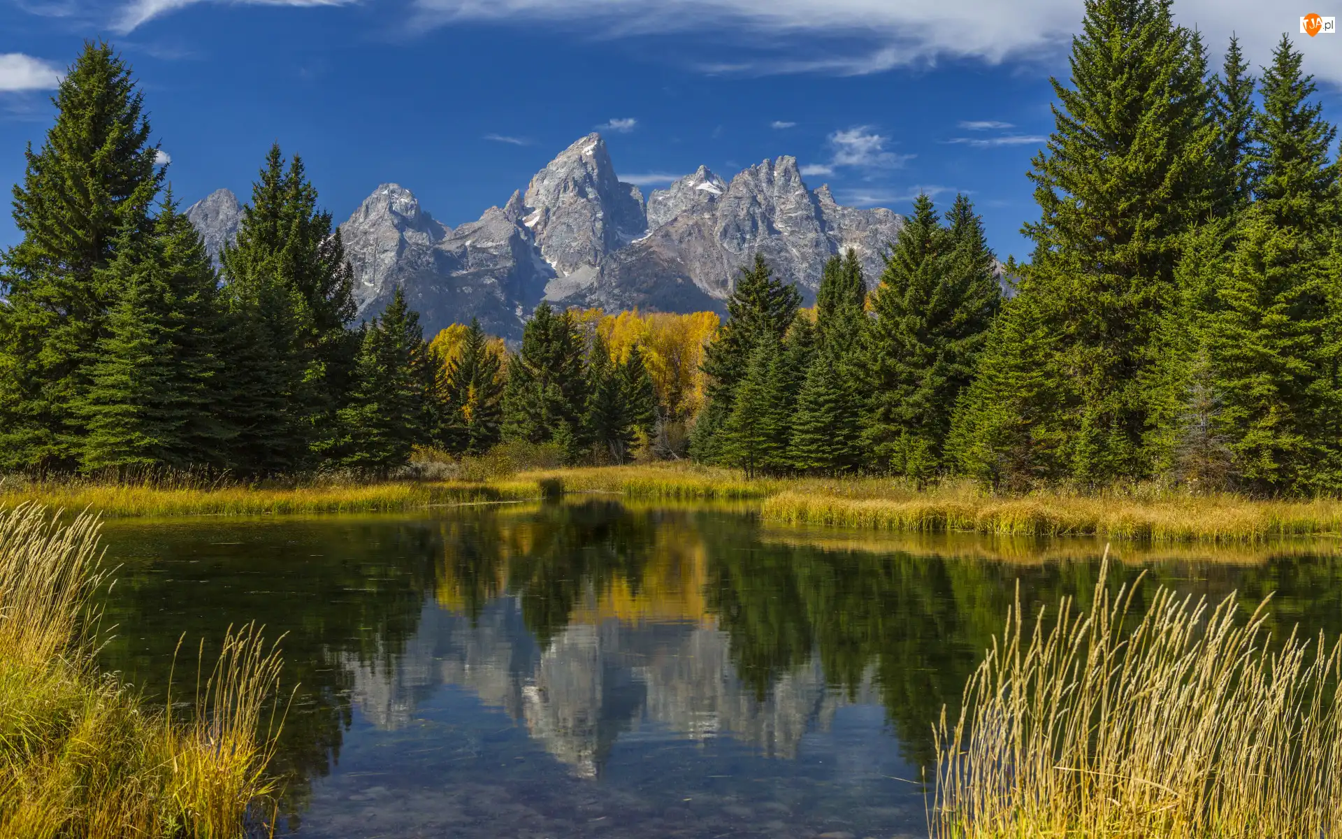 Stany Zjednoczone, Góry Skaliste, Stan Wyoming, Snake River, Odbicie, Drzewa, Trawa, Park Narodowy Grand Teton, Rzeka